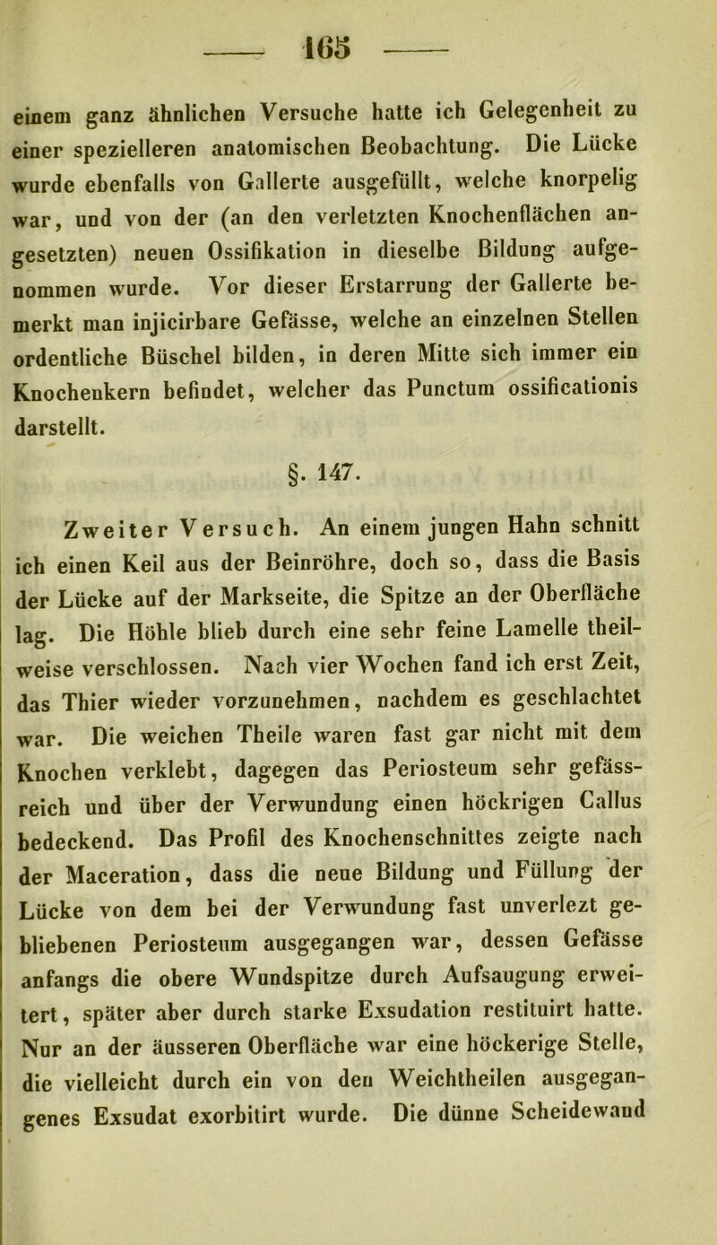 einem ganz ähnlichen Versuche hatte ich Gelegenheit zu einer spezielleren anatomischen Beobachtung. Die Lücke wurde ebenfalls von Gallerte ausgefüllt, welche knorpelig war, und von der (an den verletzten Knochenflächen an- gesetzten) neuen Ossifikation in dieselbe Bildung aufge- nommen wurde. Vor dieser Erstarrung der Gallerte be- merkt man injicirbare Gefässe, welche an einzelnen Stellen ordentliche Büschel bilden, in deren Mitte sich immer ein Knochenkern befindet, welcher das Punctum ossificationis darstellt. §. 147. Zweiter Versuch. An einem jungen Hahn schnitt ich einen Keil aus der Beinröhre, doch so, dass die Basis der Lücke auf der Markseite, die Spitze an der Oberfläche lag. Die Höhle blieb durch eine sehr feine Lamelle theil- weise verschlossen. Nach vier Wochen fand ich erst Zeit, das Thier wieder vorzunehmen, nachdem es geschlachtet war. Die weichen Theile waren fast gar nicht mit dem Knochen verklebt, dagegen das Periosteum sehr gefäss- reich und über der Verwundung einen höckrigen Gallus bedeckend. Das Profil des Knochenschnittes zeigte nach der Maceration, dass die neue Bildung und Füllung der Lücke von dem bei der Verwundung fast unverlezt ge- bliebenen Periosteum ausgegangen war, dessen Gefässe anfangs die obere Wundspitze durch Aufsaugung erwei- tert , später aber durch starke Exsudation restituirt hatte. Nur an der äusseren Oberfläche war eine höckerige Stelle, die vielleicht durch ein von den Weichtheilen ausgegan- genes Exsudat exorbitirt wurde. Die dünne Scheidewand