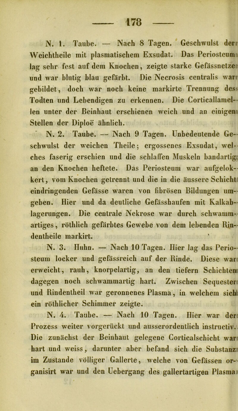 N. 1. Taube. — Nach 8 Tagen. Geschwulst der Weichtheile mit plasmatischem Exsudat. Das Periosteum lag sehr fest auf dem Knochen, zeigte starke Gefässnetze und war blutig blau gefärbt. Die Necrosis centralis war gebildet, doch war noch keine markirte Trennung des> Todten und Lebendigen zu erkennen. Die Corticallamel- len unter der ßeinhaut erschienen w^eich und an einigen Stellen der Diploe ähnlich. N. 2. Taube. — Nach 9 Tagen. Unbedeutende Ge- schwulst der wreichen Theile; ergossenes Exsudat, wel- ches faserig erschien und die schlaffen Muskeln bandartig, an den Knochen heftete. Das Periosteum war aufgelok- kert, vom Knochen getrennt und die in die äussere Schicht eindringenden Gefässe waren von fibrösen Bildungen um- geben. Hier und da deutliche Gefässhaufen mit Kalkab- lagerungen. Die centrale Nekrose war durch schw^amm- artiges, röthlich gefärbtes Gewebe von dem lebenden Rin- dentheile markirt. N. 3. Huhn. — Nach 10 Tagen. Hier lag das Perio- steum locker und gefässreich auf der Rinde. Diese wari erweicht, rauh, knorpelartig, an den tiefem Schichten dagegen noch schwammartig hart. Zwischen Sequester und Rindentheil w ar geronnenes Plasma, in w elchem sich ein röthlicher Schimmer zeigte. N. 4. Taube. — Nach 10 Tagen. Hier w^ar der Prozess weiter vorgerückt und ausserordentlich instructiv. Die zunächst der Beinhaut gelegene Corticalschicht war hart und weiss, darunter aber befand sich die Substanz im Zustande völliger Gallerte, welche von Gewissen or- ganisirt war und den Uebergang des gallertartigen Plasma