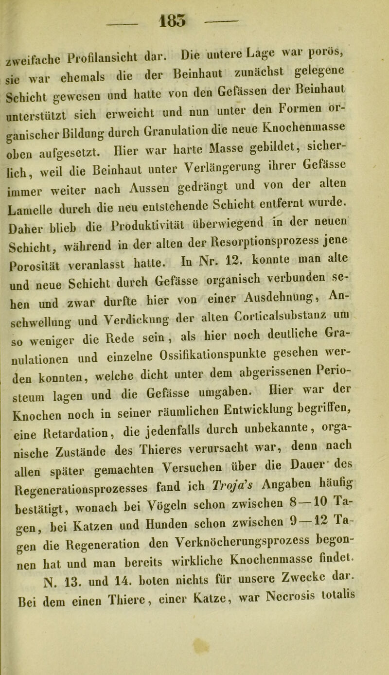 185 zweifache Profilansicht dar. Die untere Lage war porös, sic war ehemals die der Beinhaut zunächst gelegene Schicht gewesen und hatte von den Gefässen der Beinhaut unterstützt sich erweicht und nun unter den Formen 01- ganischer Bildung durch Granulation die neue Knochenmasse oben aufgesetzt. Hier war harte Masse gebildet, sicher- lich, weil die Beinhaut unter Verlängerung ihrer Gefässe immer weiter nach Aussen gedrängt und von der alten Lamelle durch die neu entstehende Schicht entfernt wurde. Daher blieb die Produktivität überwiegend in der neuen Schicht, während in der alten der Resorptionsprozess jene Porosität veranlasst hatte. In Nr. 12. konnte man alte und neue Schicht durch Gefässe organisch verbunden se- hen und zwar durfte hier von einer Ausdehnung, An- schwellung und Verdickung der alten Corticalsubstanz um so weniger die Rede sein , als hier noch deutliche Gra- nulationen und einzelne Ossifikationspunkte gesehen wer- den konnten, welche dicht unter dem abgerissenen Perio- steum lagen und die Gefässe umgaben. Hier war der Knochen noch in seiner räumlichen Entwicklung begriffen, eine Retardation, die jedenfalls durch unbekannte, orga- nische Zustände des Thieres verursacht war, denn nach allen später gemachten Versuchen über die Dauer des Regenerationsprozesses fand ich Troja’s Angaben häufig bestätigt, wonach bei Vögeln schon zwischen 8—10 Ta- gen, bei Katzen und Hunden schon zwischen 9 — 12 la- gen die Regeneration den Verknöcherungsprozess begon- nen hat und man bereits wirkliche Knochenmasse findet. N. 13. und 14. boten nichts für unsere Zwecke dar. Bei dem einen Thiere, einer Katze, war Nccrosis totalis