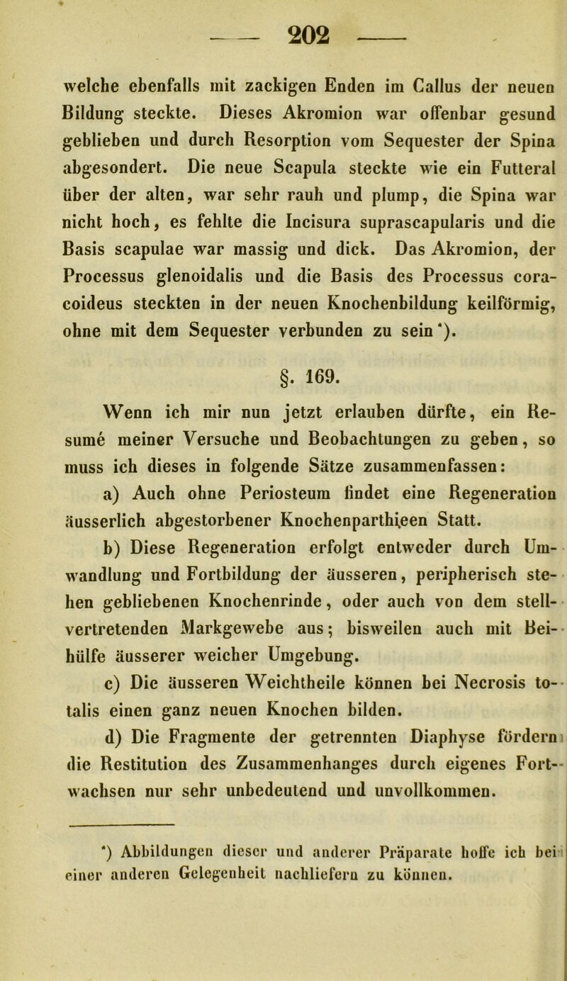 welche ebenfalls mit zackigen Enden im Callus der neuen Bildung steckte. Dieses Akromion war offenbar gesund geblieben und durch Resorption vom Sequester der Spina abgesondert. Die neue Scapula steckte wie ein Futteral über der alten, war sehr rauh und plump, die Spina war nicht hoch, es fehlte die Incisura suprascapularis und die Basis scapulae war massig und dick. Das Akromion, der Processus glenoidalis und die Basis des Processus cora- coideus steckten in der neuen Knochenbildung keilförmig, ohne mit dem Sequester verbunden zu sein'). §. 169. Wenn ich mir nun jetzt erlauben dürfte, ein Re- surne meiner Versuche und Beobachtungen zu geben, so muss ich dieses in folgende Sätze zusammenfassen: a) Auch ohne Periosteum findet eine Regeneration äusserlich abgestorbener Knochenparthi^een Statt. b) Diese Regeneration erfolgt entweder durch Um- wandlung und Fortbildung der äusseren, peripherisch ste- hen gebliebenen Knochenrinde, oder auch von dem stell- vertretenden Markgewebe aus; bisweilen auch mit Bei- hülfe äusserer weicher Umgebung. c) Die äusseren Weichtheile können bei Necrosis to- talis einen ganz neuen Knochen bilden. d) Die Fragmente der getrennten Diaphyse fördern die Restitution des Zusammenhanges durch eigenes Fort- wachsen nur sehr unbedeutend und unvollkommen. *) Abbildungen dieser und anderer Präparate hoffe ich bei einer anderen Gelegenheit nachliefern zu können.