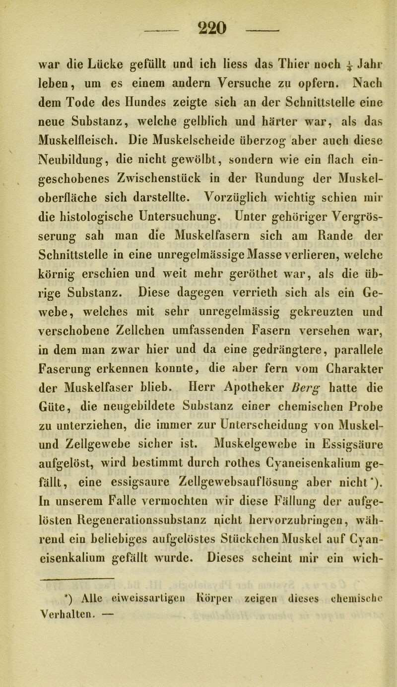 war die Lücke gefüllt und ich liess das Thier noch £ Jahr lehen, um es einem andern Versuche zu opfern. Nach dem Tode des Hundes zeigte sich an der Schnittstelle eine neue Substanz, welche gelblich und härter war, als das Muskelfleisch. Die Muskelscheide überzog aber auch diese Neubildung, die nicht gewölbt, sondern wie ein flach ein- geschobenes Zwischenstück in der Rundung der Muskel- oberfläche sich darstellte. Vorzüglich wichtig schien mir die histologische Untersuchung. Unter gehöriger Vergrös- serung sah man die Muskelfasern sich am Rande der Schnittstelle in eine unregelmässige Masse verlieren, welche körnig erschien und weit mehr geröthet war, als die üb- rige Substanz. Diese dagegen verrieth sich als ein Ge- webe, welches mit sehr unregelmässig gekreuzten und verschobene Zellchen umfassenden Fasern versehen war, in dem man zwar hier und da eine gedrängtere, parallele Faserung erkennen konnte, die aber fern vom Charakter der Muskelfaser blieb. Herr Apotheker Berg hatte die Güte, die neugebildete Substanz einer chemischen Probe zu unterziehen, die immer zur Unterscheidung von Muskel- und Zellgewebe sicher ist. Muskelgewebe in Essigsäure aufgelöst, wird bestimmt durch rothes Cyaneisenkalium ge- fällt, eine essigsaure Zellgewebsauflösung aber nicht*). In unserem Falle vermochten wir diese Fällung der aufge- lösten Regenerationssubstanz nicht hervorzubriugen, wäh- rend ein beliebiges aufgelöstes Stückchen Muskel auf Cyan- eisenkalium gefällt wurde. Dieses scheint mir ein wich- *) Alle eiweissartigen Körper zeigen dieses chemische Verhalten. —