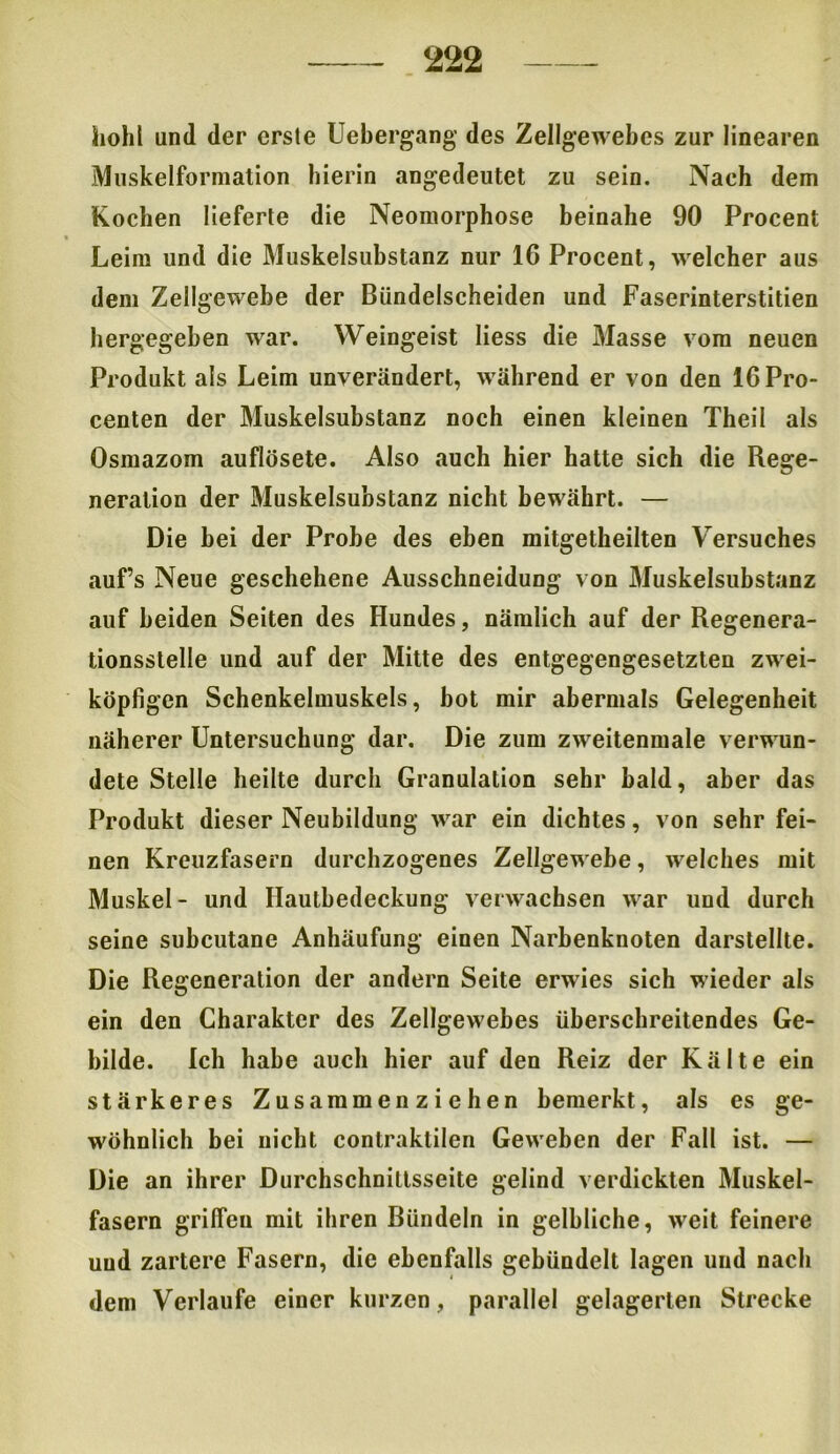 hohl und der erste Uebergang des Zellgewebes zur linearen Muskelformation hierin angedeutet zu sein. Nach dem Kochen lieferte die Neomorphose beinahe 90 Procent Leim und die Muskelsubstanz nur 16 Procent, welcher aus dem Zellgewebe der Bündelscheiden und Faserinterstitien hergegeben war. Weingeist liess die Masse vom neuen Produkt als Leim unverändert, während er von den 16Pro- centen der Muskelsubstanz noch einen kleinen Theil als Osmazom auflösete. Also auch hier hatte sich die Rege- neration der Muskelsubstanz nicht bewährt. — Die bei der Probe des eben mitgetheilten Versuches auf’s Neue geschehene Ausschneidung von Muskelsubstanz auf beiden Seiten des Hundes, nämlich auf der Regenera- tionsstelle und auf der Mitte des entgegengesetzten zwei- köpfigen Schenkelmuskels, bot mir abermals Gelegenheit näherer Untersuchung dar. Die zum zweitenmale verwun- dete Stelle heilte durch Granulation sehr bald, aber das Produkt dieser Neubildung war ein dichtes, von sehr fei- nen Kreuzfasern durchzogenes Zellgewebe, welches mit Muskel- und Hautbedeckung verwachsen war und durch seine subcutane Anhäufung einen Narbenknoten darstellte. Die Regeneration der andern Seite erwies sich wieder als ein den Charakter des Zellgewebes überschreitendes Ge- bilde. Ich habe auch hier auf den Reiz der Kälte ein stärkeres Zusammenziehen bemerkt, als es ge- wöhnlich bei nicht contraklilen Geweben der Fall ist. — Die an ihrer Durchschnittsseite gelind verdickten Muskel- fasern griffen mit ihren Bündeln in gelbliche, weit feinere uud zartere Fasern, die ebenfalls gebündelt lagen und nach dem Verlaufe einer kurzen, parallel gelagerten Strecke