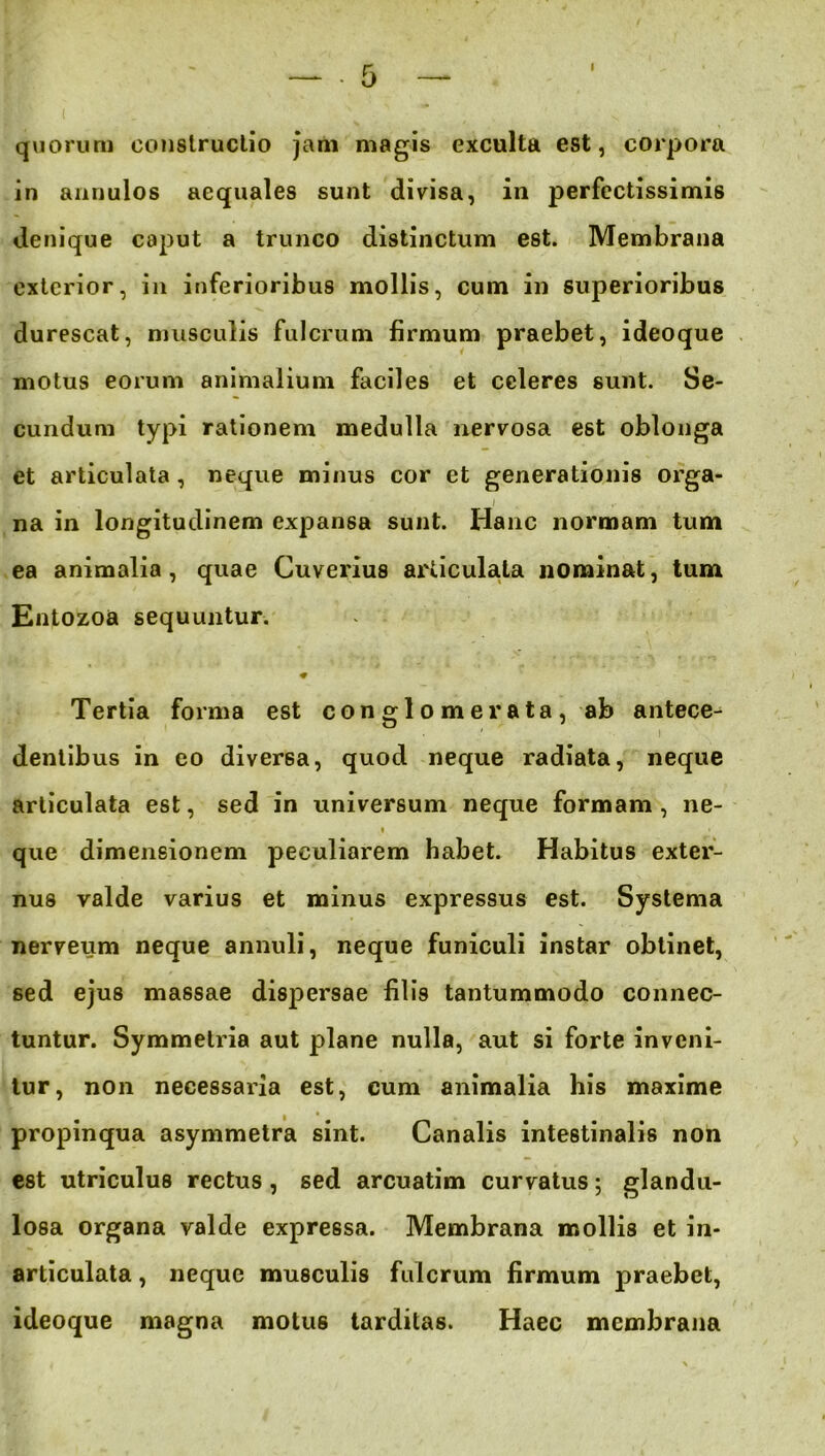 quorum constructio jam magis exculta est, corpora in annulos aequales sunt divisa, in perfectissimis denique caput a trunco distinctum est. Membrana exterior, in inferioribus mollis, cum in superioribus durescat, musculis fulcrum firmum praebet, ideoque motus eorum animalium faciles et celeres sunt. Se- cundum typi rationem medulla nervosa est oblonga et articulata , neque minus cor et generationis orga- na in longitudinem expansa sunt. Hanc normam tum ea animalia, quae Cuverius articulata nominat, tum Entozoa sequuntur. Tertia forma est conglomerata, ab antece- dentibus in eo diversa, quod neque radiata, neque articulata est, sed in universum neque formam, ne- t que dimensionem peculiarem habet. Habitus exter- nus valde varius et minus expressus est. Systema nerveum neque annuli, neque funiculi instar obtinet, sed ejus massae dispersae filis tantummodo connec- tuntur. Symmetria aut plane nulla, aut si forte inveni- tur, non necessaria est, cum animalia his maxime propinqua asymmetra sint. Canalis intestinalis non est utriculus rectus, sed arcuatim curvatus; glandu- losa organa valde expressa. Membrana mollis et in- articulata , neque musculis fulcrum firmum praebet, ideoque magna motus tarditas. Haec membrana