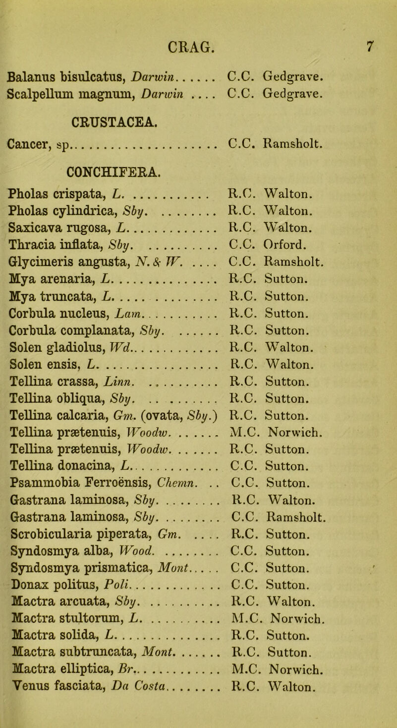 Balanus bisulcatus, Darwin Scalpellum magnum, Darwin CRUSTACEA. Cancer, sp CONCHIFERA. Pholas crispata, L Pholas cylindrica, Sby Saxicava rugosa, L Thracia inflata, Sby Glycimeris angusta, N. 8r W. .... My a arenaria, L Mya truncata, L Corbula nucleus, Lam Corbula complanata, Sby Solen gladiolus, Wd Solen ensis, L Tellina crassa, Linn. Tellina obliqua, Sby Tellina calcaria, Gm. (ovata, Sby.) Tellina praetenuis, Woodw Tellina praetenuis, Woodw Tellina donacina, L Psammobia Ferroensis, Chemn. .. Gastrana laminosa, Sby Gastrana laminosa, Sby Scrobicularia piperata, Gm Syndosmya alba, Wood Syndosmya prismatica, Mont Donax politus, Poli Mactra arcuata, Sby Mactra stultorum, L Mactra solida, L Mactra subtruncata, Mont Mactra elliptica, Br Yenus fasciata, Da Costa C.C. Gedgrave. C.C. Gedgrave. C.C. Ramsholt. R.C. Walton. R.C. Walton. R.C. Walton. C.C. Orford. C.C. Ramsholt. R.C. Sutton. R.C. Sutton. R.C. Sutton. R.C. Sutton. R.C. Walton. R.C. Walton. R.C. Sutton. R.C. Sutton. R.C. Sutton. M.C. Norwich. R.C. Sutton. C.C. Sutton. C.C. Sutton. R.C. Walton. C.C. Ramsholt. R.C. Sutton. C.C. Sutton. C.C. Sutton. C.C. Sutton. R.C. Walton. M.C. Norwich. R.C. Sutton. R.C. Sutton. M.C. Norwich. R.C. Walton.