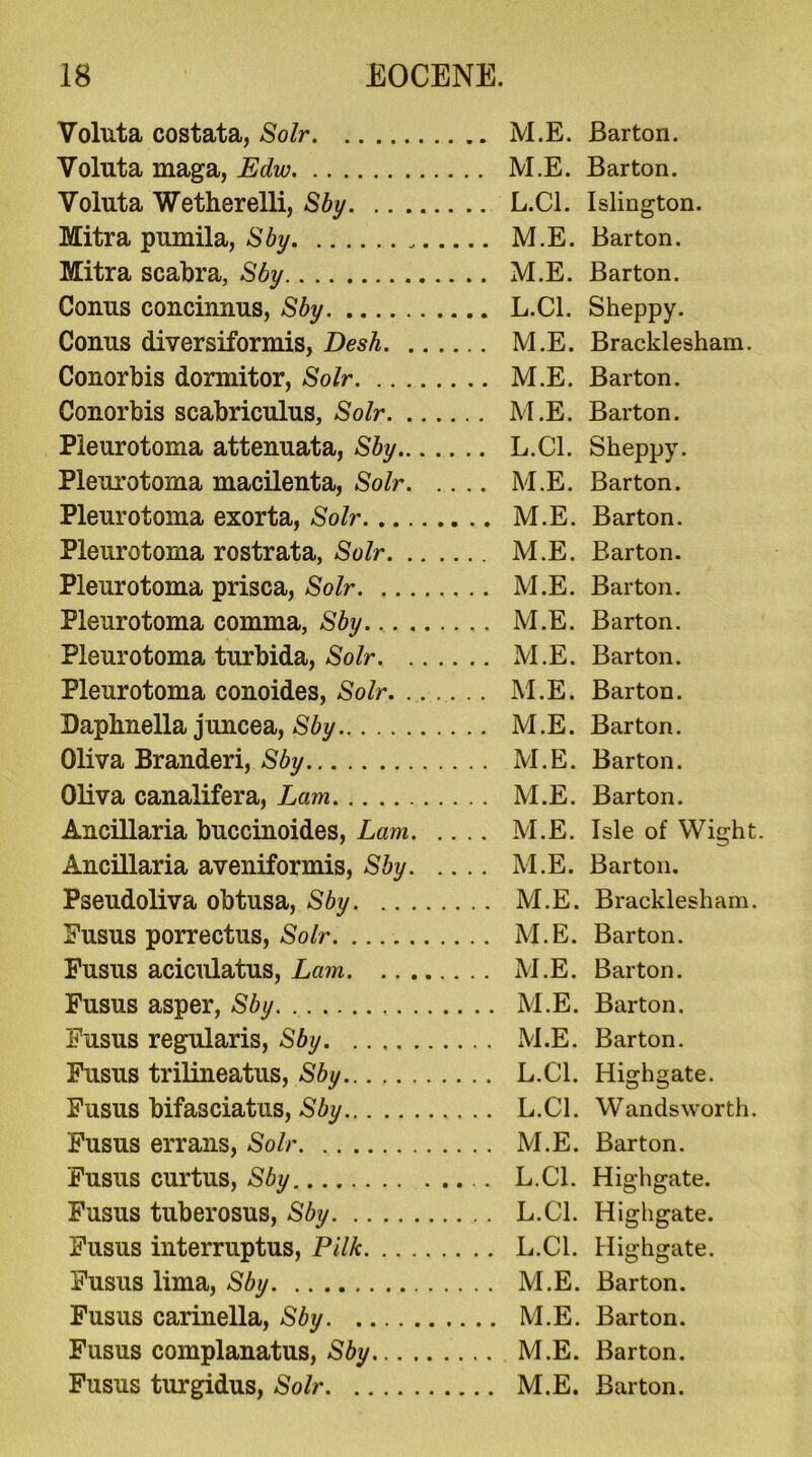 Voluta costata, Solr Voluta maga, Edw Voluta Wetherelli, Sby Mitra pumila, Sby Mitra scabra, Sby Conus concinnus, Sby Conus diversiformis, Desk Conorbis dormitor, Solr Conorbis scabriculus, Solr Pleurotoma attenuata, Sby Pleurotoma macilenta, Solr Pleurotoma exorta, Solr Pleurotoma rostrata, Solr Pleurotoma prisca, Solr Pleurotoma comma, Sby Pleurotoma turbida, Solr Pleurotoma conoides, Solr Daphnella juncea, Sby Oliva Branderi, Sby Oliva canalifera, Lam Ancillaria buccinoides, Lam Ancillaria aveniformis, Sby Pseudoliva obtusa, Sby Eusus porrectus, Solr Eusus aciculatus, Lam Eusus asper, Sby Eusus regularis, Sby Eusus trilineatus, Sby Fusus bifasciatus, Sby Eusus errans, Solr Eusus curtus, Sby Fusus tuberosus, Sby Eusus interruptus, Pilk Eusus lima, Sby Fusus carinella, Sby Fusus complanatus, Sby Fusus turgidus, Solr M.E. Barton. M.E. Barton. L. C1. Islington. M. E. Barton. M.E. Barton. L. C1. Sheppy. M. E. Bracklesham. M.E. Barton. M.E. Barton. L. C1. Sheppy. M. E. Barton. M.E. Barton. M.E. Barton. M.E. Barton. M.E. Barton. M.E. Barton. M.E. Barton. M.E. Barton. M.E. Barton. M.E. Barton. M.E. Isle of Wight. M.E. Barton. M.E. Bracklesham. M.E. Barton. M.E. Barton. M.E. Barton. M.E. Barton. L.C1. Highgate. L. C1. Wandsworth. M. E. Barton. L.C1. Highgate. L.C1. Highgate. L. C1. Highgate. M. E. Barton. M.E. Barton. M.E. Barton. M.E. Barton.