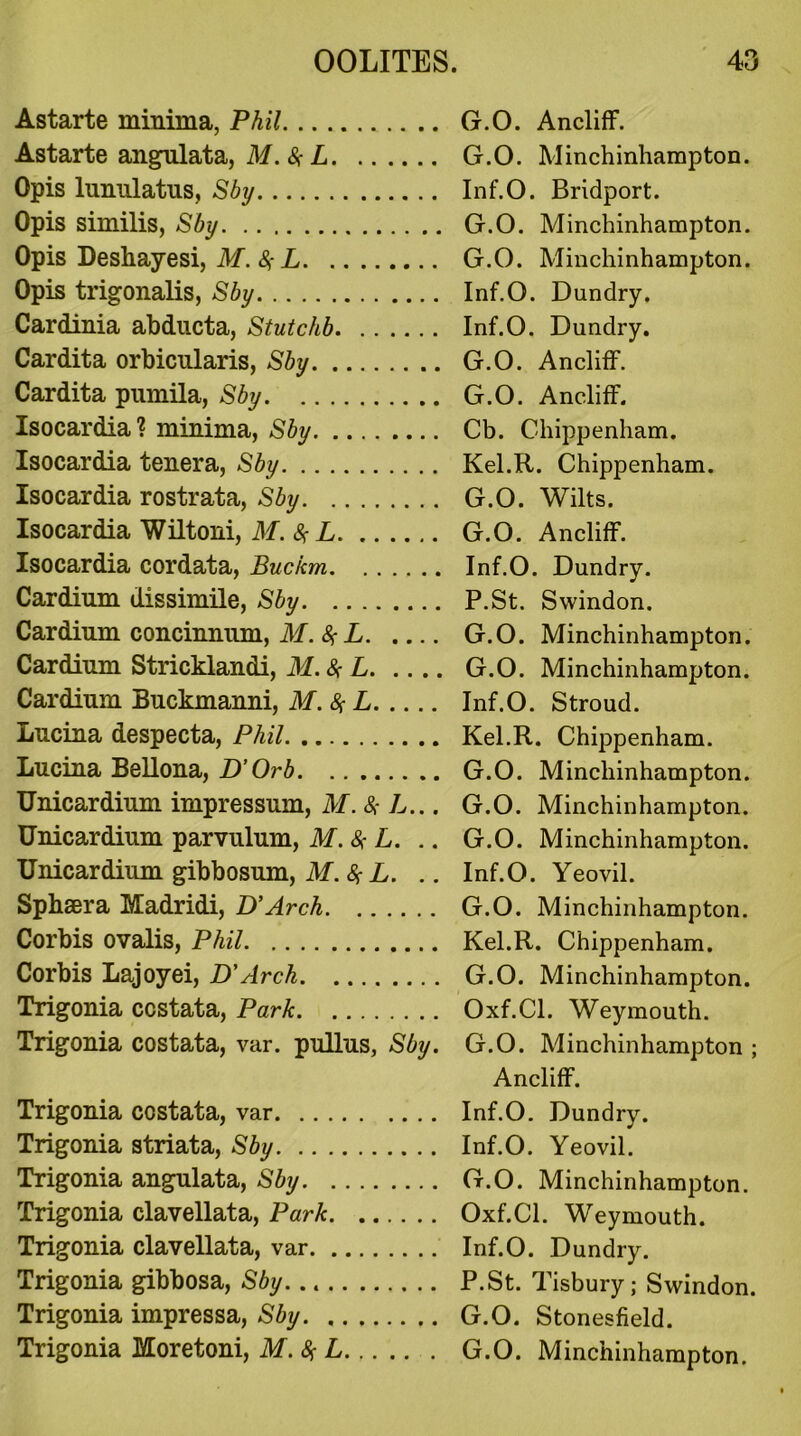 Astarte minima, Phil Astarte angulata, M. 8s- L Opis lunulatus, Sby Opis similis, Sby Opis Deshayesi, M.8,- L Opis trigonalis, Sby Cardinia abducta, Stutchb Cardita orbicularis, Sby Cardita pumila, Sby Isocardia? minima, Sby Isocardia tenera, Sby Isocardia rostrata, Sby Isocardia Wiltoni, M.8^L Isocardia cordata, Buckm Cardium dissimile, Sby Cardium concinnum, M.$L Cardium Stricklandi, M.8*L Cardium Buckmanni, M.% L Lucina despecta, Phil Lucina Bellona, D’ Orb Unicardium impressum, M. 8,- L... Unicardium parvulum, M. 8s L. Unicardium gibbosum, M.fyL. Sphsera Madridi, D’Arch Corbis ovalis, Phil Corbis Lajoyei, D'Arch Trigonia ccstata, Park Trigonia costata, var. pullus, Sby. Trigonia costata, var Trigonia striata, Sby Trigonia angulata, Sby Trigonia clavellata, Park Trigonia clavellata, var Trigonia gibbosa, Sby Trigonia impressa, Sby Trigonia Moretoni, M.$ L G.O. Ancliff. G.O. Minchinhampton. Inf.O. Bridport. G.O. Minchinhampton. G.O. Minchinhampton. Inf.O. Dundry, Inf.O. Dundry. G.O. An cl iff. G.O. Ancliff. Cb. Chippenham. Kel.R. Chippenham. G.O. Wilts. G.O. Ancliff. Inf.O. Dundry. P.St. Swindon. G.O. Minchinhampton. G.O. Minchinhampton. Inf.O. Stroud. Kel.R. Chippenham. G.O. Minchinhampton. G.O. Minchinhampton. G.O. Minchinhampton. Inf.O. Yeovil. G.O. Minchinhampton. Kel.R. Chippenham. G.O. Minchinhampton. Oxf.Cl. Weymouth. G.O. Minchinhampton ; Ancliff. Inf.O. Dundry. Inf.O. Yeovil. G.O. Minchinhampton. Oxf.Cl. Weymouth. Inf.O. Dundry. P.St. Tisbury; Swindon. G.O. Stonesfield. G.O. Minchinhampton.