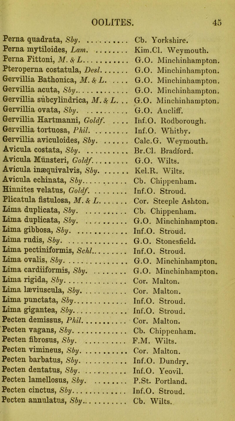 Perna quadrata, Sby Cb. Yorkshire. Perna mytiloides, Lam Kim.Cl. Weymouth. Perna Fittoni, M. # L G.O. Minchinhampton. Pteroperna costatula, Desl G.O. Minchinhampton. Gervillia Batlionica, M. # L G.O. Minchinhampton. Gervillia acuta, Sby G.O. Minchinhampton. Gervillia subcylindrica, M.$ L. .. G.O. Minchinhampton. Gervillia ovata, Sby G.O. Ancliff. Gervillia Hartmanni, Goldf. .... Irif.O. Rodborough. Gervillia tortuosa, Phil Inf.O. Whitby. Gervillia aviculoides, Sby Calc.G. Weymouth. Avicula costata, Sby Br.Cl. Bradford. Avicula Munsteri, Goldf......... G.O. Wilts. Avicula inaequivalvis, Sby Kel.R. Wilts. Avicula echinata, Sby . Cb. Chippenham. Hinnites velatus, Goldf. Inf.O. Stroud. Plicatula fistulosa, M. $ L Cor. Steeple Ashton. Lima duplicata, Sby Cb. Chippenham. Lima duplicata, Sby G.O. Minchinhampton. Lima gibbosa, Sby Inf.O. Stroud. Lima rudis, Sby G.O. Stonesfield. Lima pectiniformis, Schl Inf.O. Stroud. Lima ovalis, Sby G.O. Minchinhampton. Lima cardiiformis, Sby G.O. Minchinhampton. Lima rigida, Sby Cor. Malton. Lima laeviuscula, Sby Cor. Malton. Lima punctata, Sby Inf.O. Stroud. Lima gigantea, Sby Inf.O. Stroud. Pecten demissus, Phil Cor. Malton. Pecten vagans, Sby Cb. Chippenham. Pecten fibrosus, Sby F.M. Wilts. Pecten vimineus, Sby Cor. Malton. Pecten barbatus, Sby Inf.O. Dundry. Pecten dentatus, Sby Inf.O. Yeovil. Pecten lamellosus, Sby P.St. Portland. Pecten cinctus, Sby Inf.O. Stroud. Pecten annulatus, Sby Cb. Wilts.