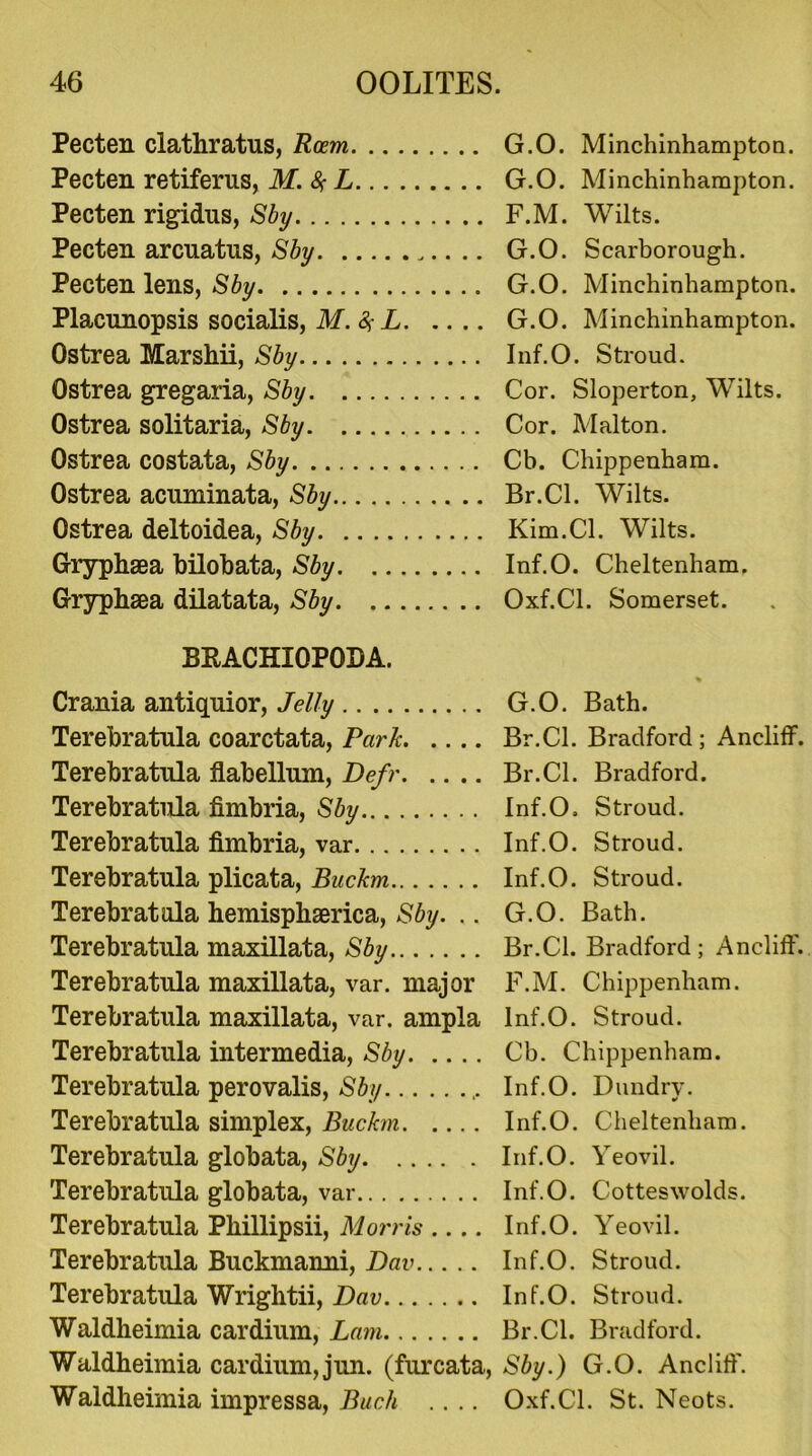 Pecten ciathratus, Roem Pecten retiferus, M. % L Pecten rigidus, Sby Pecten arcuatus, Sby Pecten lens, Sby Placunopsis socialis, M.% L Ostrea Marshii, Sby Ostrea gregaria, Sby Ostrea solitaria, Sby Ostrea costata, Sby Ostrea acuminata, Sby Ostrea deltoidea, Sby Gryphsea bilobata, Sby Gryphsea dilatata, Sby G.O. Minchinhampton. G.O. Minchinhampton. F. M. Wilts. G. O. Scarborough. G.O. Minchinhampton. G.O. Minchinhampton. Inf.O. Stroud. Cor. Sloperton, Wilts. Cor. Malton. Cb. Chippenham. Br.Cl. Wilts. Kim.Cl. Wilts. Inf.O. Cheltenham. Oxf.Cl. Somerset. BBACHIOPQDA. Crania antiquior, Jelly G.O. Bath. Terebratula coarctata, Park Br.Cl. Bradford; Ancliff. Terebratula flabellum, Defr Br.Cl. Bradford. Terebratula fimbria, Sby Inf.O, Stroud. Terebratula fimbria, var Inf.O. Stroud. Terebratula plicata, Buckm Inf.O. Stroud. Terebratula hemisphaerica, Sby. .. G.O. Bath. Terebratula maxillata, Sby Br.Cl. Bradford; Ancliff. Terebratula maxillata, var. major F.M. Chippenham. Terebratula maxillata, var. ampla Inf.O. Stroud. Terebratula intermedia, Sby Cb. Chippenham. Terebratula perovalis, Sby ,. Inf.O. Dundry. Terebratula simplex, Buckm Inf.O. Cheltenham. Terebratula globata, Sby Inf.O. Yeovil. Terebratula globata, var Inf.O. Cotteswolds. Terebratula Phillipsii, Morris .... Inf.O. Yeovil. Terebratula Buckmanni, Dav Inf.O. Stroud. Terebratula Wrightii, Dav Inf.O. Stroud. Waldheimia cardium, Lam Br.Cl. Bradford. Waldheimia cardium, jun. (furcata, Sby.) G.O. Ancliff. Waldheimia impressa, Buck .... Oxf.Cl. St. Neots.