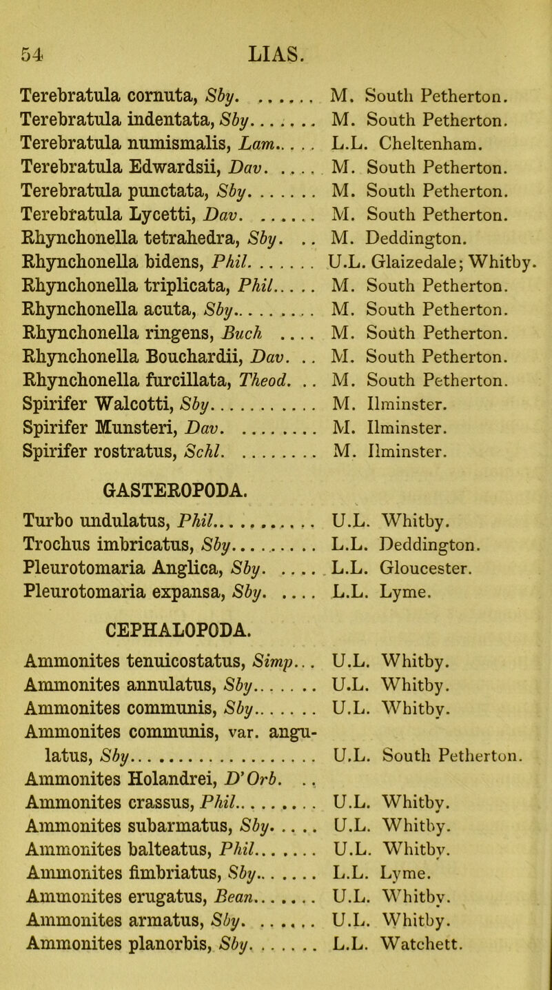 Terebratula cornuta, Sby M. South Petherton. Terebratula indentata, Sby M. South Petherton. Terebratula numismalis, Lam L.L. Cheltenham. Terebratula Edwardsii, Dav. .... M. South Petherton. Terebratula punctata, Sby M. South Petherton. Terebratula Lycetti, Dav M. South Petherton. Rhynchonella tetrahedra, Sby. .. M. Deddington. Rhynchonella bidens, Phil U.L. Glaizedale; Whitby. Rhynchonella triplicata, Phil M. South Petherton. Rhynchonella acuta, Sby ,. M. South Petherton. Rhynchonella ringens, Buch M. South Petherton. Rhynchonella Bouchardii, Dav. .. M. South Petherton. Rhynchonella furcillata, Theod. .. M. South Petherton. Spirifer Walcotti, Sby M. Ilminster. Spirifer Munsteri, Dav M. Ilminster. Spirifer rostratus, Sc hi M. Ilminster. GASTEROPODA. Turbo undulatus, Phil U.L. Trochus imbricatus, Sby... L.L. Pleurotomaria Anglica, Sby L.L. Pleurotomaria expansa, Sby L.L. CEPHALOPODA. Ammonites tenuicostatus, Simp... U.L. Ammonites annulatus, Sby U.L. Ammonites communis, Sby U.L. Ammonites communis, var. angu- latus, Sby U.L. Ammonites Holandrei, D’Orb. .. Ammonites crassus, Phil U.L. Ammonites subarmatus, Sby U.L. Ammonites balteatus, Phil U.L. Ammonites fimbriatus, Sby L.L. Ammonites erugatus, Bean U.L. Ammonites armatus, Sby U.L. Ammonites planorbis, Sby L.L. Whitby. Deddington. Gloucester. Lyme. Whitby. Whitby. Whitby. South Petherton. Whitby. Whitby. Whitby. Lyme. Whitby. Whitby. Watchett.