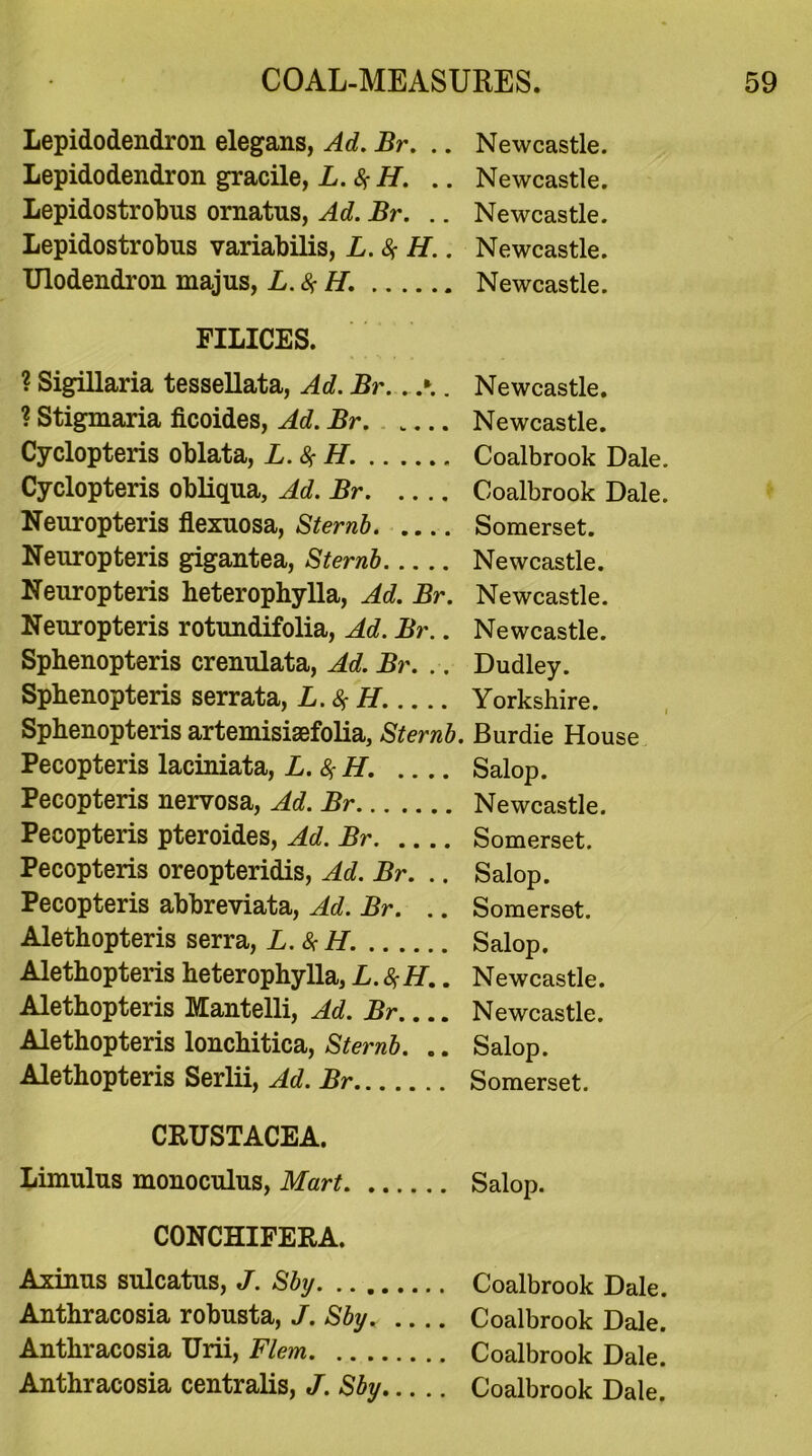 Lepidodendron elegans, Ad. Br. .. Newcastle. Lepidodendron gracile, L.$H. .. Newcastle. Lepidostrobus ornatus, Ad. Br. .. Newcastle. Lepidostrobus variabilis, L.% H.. Newcastle. Ulodendron majus, L.$H. Newcastle. FILICES. ? Sigillaria tessellata, Ad. Br. . .\. Newcastle. ? Stigmaria ficoides, Ad. Br. .... Newcastle. Cyclopteris oblata, L.$H. Coalbrook Dale. Cyclopteris obliqua, Ad. Br Coalbrook Dale. Neuropteris flexuosa, Sternb Somerset. Neuropteris gigantea, Sternb Newcastle. Neuropteris heterophylla, Ad. Br. Newcastle. Neuropteris rotundifolia, Ad. Br.. Newcastle. Sphenopteris crenulata, Ad. Br. .. Dudley. Spbenopteris serrata, L.^H. Yorkshire. Sphenopteris artemisisefolia, Sternb. Burdie House Pecopteris laciniata, L.^H. Salop. Pecopteris nervosa, Ad. Br Newcastle. Pecopteris pteroides, Ad. Br Somerset. Pecopteris oreopteridis, Ad. Br. .. Salop. Pecopteris abbreviate Ad. Br. .. Somerset. Alethopteris serra, L.&H. Salop. Alethopteris heterophylla, L.fyH.. Newcastle. Alethopteris Mantelli, Ad. Br Newcastle. Alethopteris lonchitica, Sternb. .. Salop. Alethopteris Serlii, Ad. Br Somerset. CRUSTACEA. Limulus monoculus, Mart Salop. CONCHIFERA. Axinus sulcatus, J. Sby Coalbrook Dale. Anthracosia robusta, J. Sby.. Coalbrook Dale. Anthracosia Urii, Flem Coalbrook Dale. Anthracosia centralis, J. Sby Coalbrook Dale.