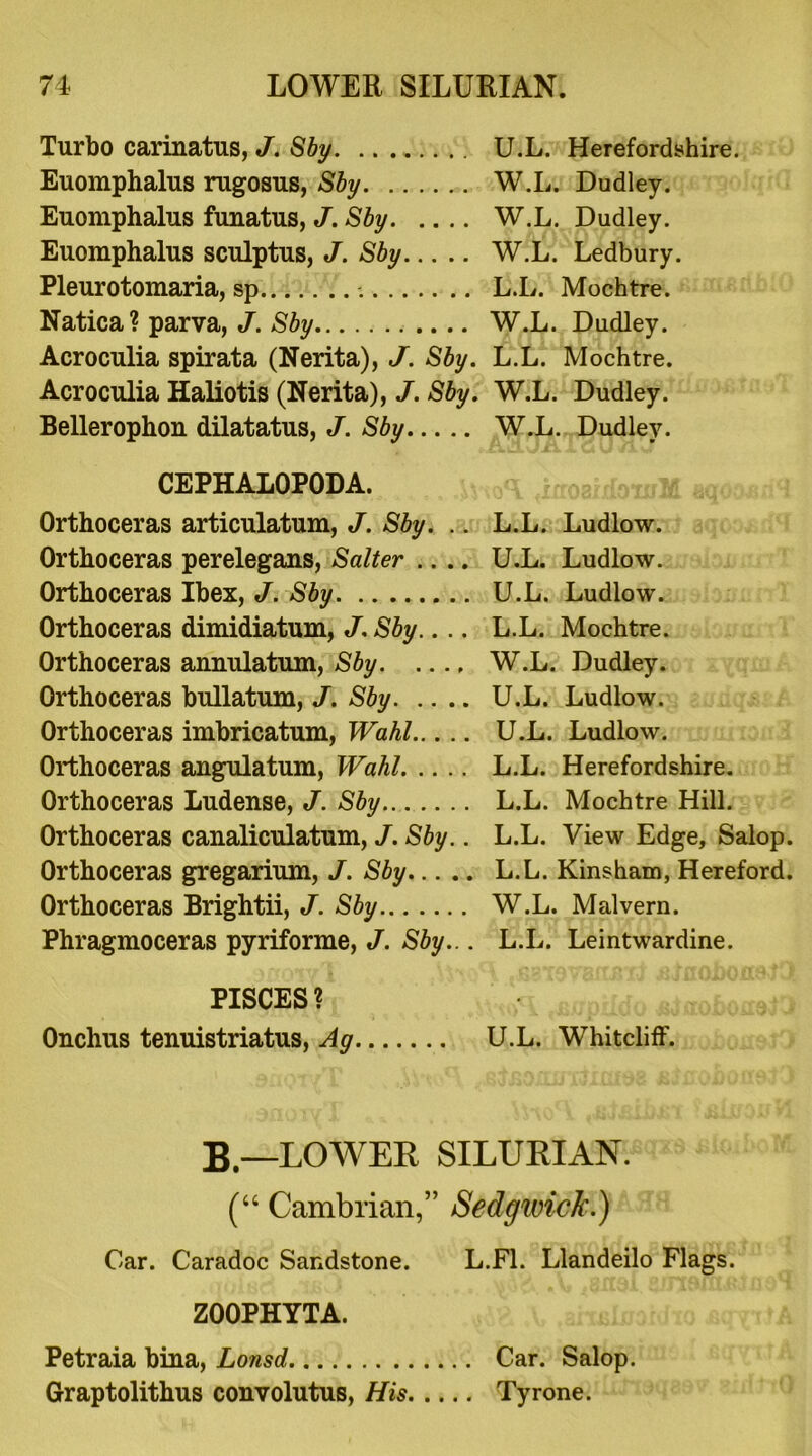 Turbo carinatus, J. Sby. .. U.L. Herefordshire. Euomphalus rugosus, Sby W.L. Dudley. Euomphalus funatus, J. Sby W.L. Dudley. Euomphalus sculptus, J. Sby W.L. Ledbury. Pleurotomaria, sp L.L. Mochtre. Natica ? parva, J. Sby W.L. Dudley. Acroculia spirata (Nerita), J. Sby. L.L. Mochtre. Acroculia Haliotis (Nerita), J. Sby. W.L. Dudley. Bellerophon dilatatus, J. Sby W.L. Dudley. CEPHALOPODA. Orthoceras articulatum, J. Sby. .. L.L. Ludlow. Orthoceras perelegans, Salter .... U.L. Ludlow. Orthoceras Ibex, J. Sby U.L. Ludlow. Orthoceras dimidiatum, J. Sby.. .. L.L. Mochtre. Orthoceras annulatum, Sby W.L. Dudley. Orthoceras bullatum, J. Sby U.L. Ludlow. Orthoceras imbricatum, Wahl U.L. Ludlow. Orthoceras angulatum, Wahl L.L. Herefordshire. Orthoceras Ludense, J. Sby L.L. Mochtre Hill. Orthoceras canaliculatum, J. Sby.. L.L. View Edge, Salop. Orthoceras gregarium, J. Sby L.L. Kinsham, Hereford. Orthoceras Brightii, J. Sby W.L. Malvern. Phragmoceras pyriforme, J. Sby... L.L. Leintwardine. PISCES ? ^ ^jcrpHdo ^ffoboxrott Onchus tenuistriatus, Ag U.L. Whitcliff. B—LOWER SILURIAN. (“ Cambrian,” Sedgwick.) Car. Caradoc Sandstone. L.F1. Llandeilo Flags. ZOOPHYTA. Petraia bina, Lonsd Car. Salop. Graptolithus convolutus, His Tyrone.