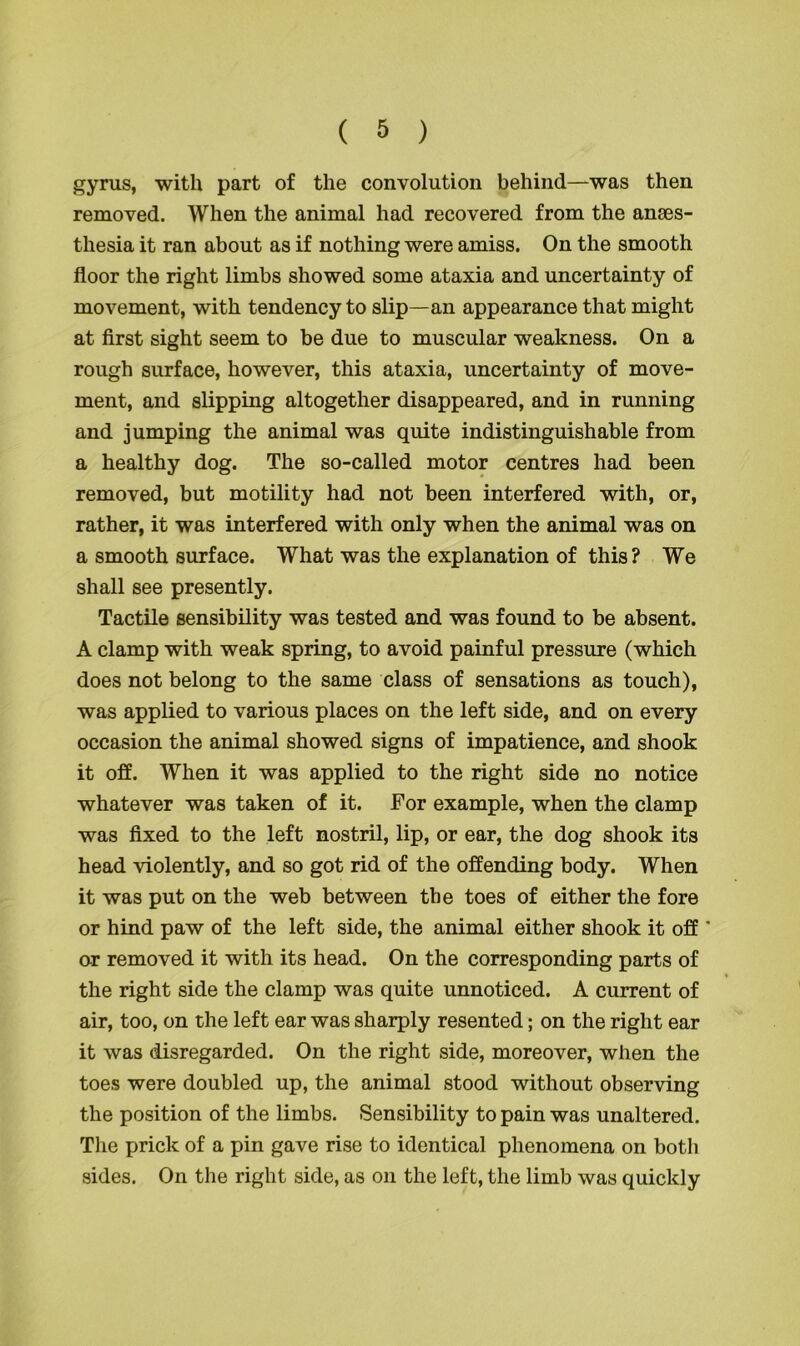 gyrus, with part of the convolution behind—was then removed. When the animal had recovered from the anaes- thesia it ran about as if nothing were amiss. On the smooth floor the right limbs showed some ataxia and uncertainty of movement, with tendency to slip—an appearance that might at first sight seem to be due to muscular weakness. On a rough surface, however, this ataxia, uncertainty of move- ment, and slipping altogether disappeared, and in running and jumping the animal was quite indistinguishable from a healthy dog. The so-called motor centres had been removed, but motility had not been interfered with, or, rather, it was interfered with only when the animal was on a smooth surface. What was the explanation of this ? We shall see presently. Tactile sensibility was tested and was found to be absent. A clamp with weak spring, to avoid painful pressure (which does not belong to the same class of sensations as touch), was applied to various places on the left side, and on every occasion the animal showed signs of impatience, and shook it off. When it was applied to the right side no notice whatever was taken of it. For example, when the clamp was fixed to the left nostril, lip, or ear, the dog shook its head violently, and so got rid of the offending body. When it was put on the web between the toes of either the fore or hind paw of the left side, the animal either shook it off ' or removed it with its head. On the corresponding parts of the right side the clamp was quite unnoticed. A current of air, too, on the left ear was sharply resented; on the right ear it was disregarded. On the right side, moreover, when the toes were doubled up, the animal stood without observing the position of the limbs. Sensibility to pain was unaltered. The prick of a pin gave rise to identical phenomena on both sides. On the right side, as on the left, the limb was quickly
