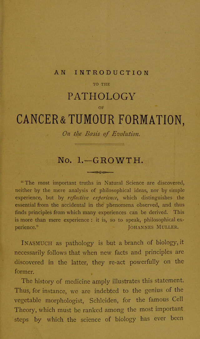 digitised image 3