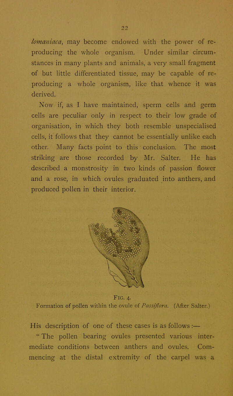 lomaniaca, may become endowed with the power of re- producing the whole organism. Under similar circum- stances in many plants and animals, a very small fragment of but little differentiated tissue, may be capable of re- producing a whole organism, like that whence it was derived. Now if, as I have maintained, sperm cells and germ cells are peculiar only in respect to their low grade of organisation, in which they both resemble unspecialised cells, it follows that they cannot be essentially unlike each other. Many facts point to this conclusion. The most striking are those recorded by Mr. Salter. He has described a monstrosity in two kinds of passion flower and a rose, in which ovules graduated into anthers, and produced pollen in their interior. Formation of pollen within the ovule of Passiflora. (After Salter.) His description of one of these cases is as follows :—  The pollen bearing ovules presented various inter- mediate conditions between anthers and ovules. Com- mencing at the distal extremity of the carpel was a