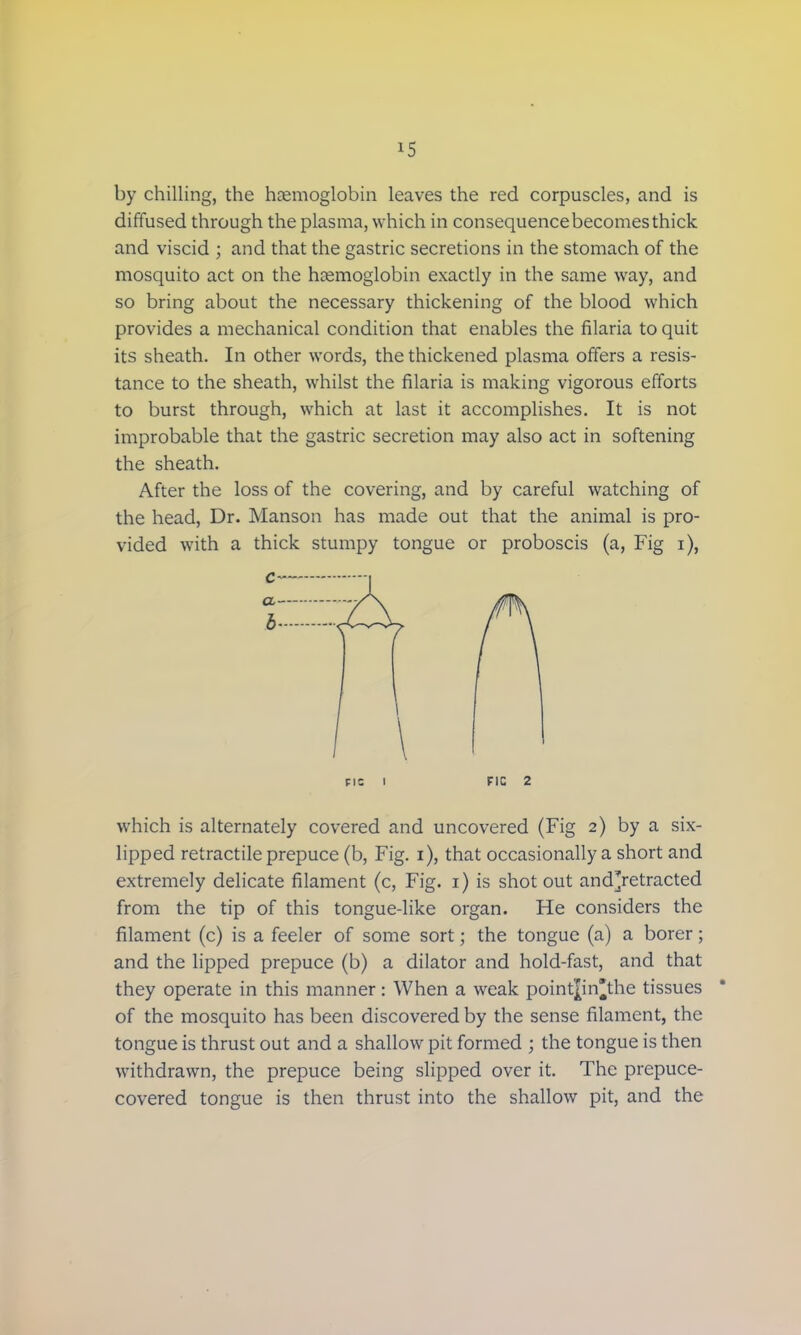 by chilling, the haemoglobin leaves the red corpuscles, and is diffused through the plasma, which in consequence becomes thick and viscid ; and that the gastric secretions in the stomach of the mosquito act on the haemoglobin exactly in the same way, and so bring about the necessary thickening of the blood which provides a mechanical condition that enables the filaria to quit its sheath. In other words, the thickened plasma offers a resis- tance to the sheath, whilst the filaria is making vigorous efforts to burst through, which at last it accomplishes. It is not improbable that the gastric secretion may also act in softening the sheath. After the loss of the covering, and by careful watching of the head, Dr. Manson has made out that the animal is pro- vided with a thick stumpy tongue or proboscis (a, Fig i), which is alternately covered and uncovered (Fig 2) by a six- lipped retractile prepuce (b, Fig. 1), that occasionally a short and extremely delicate filament (c, Fig. 1) is shot out and'retracted from the tip of this tongue-like organ. He considers the filament (c) is a feeler of some sort; the tongue (a) a borer; and the lipped prepuce (b) a dilator and hold-fast, and that they operate in this manner: When a weak poinr|in*the tissues of the mosquito has been discovered by the sense filament, the tongue is thrust out and a shallow pit formed ; the tongue is then withdrawn, the prepuce being slipped over it. The prepuce- covered tongue is then thrust into the shallow pit, and the FIC 2