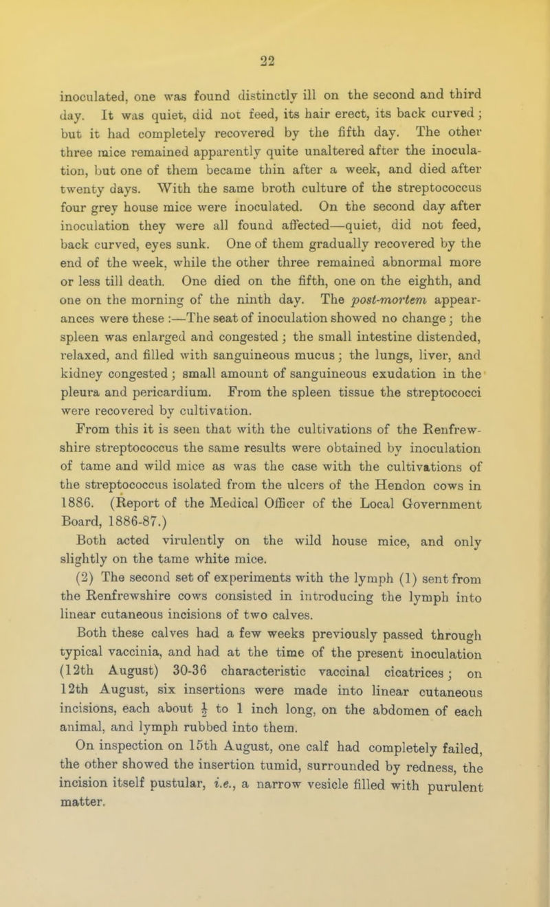 inoculated, one was found distinctly ill on the second and third day. It was quiet, did not feed, its hair erect, its back curved ; but it had completely recovered by the fifth day. The other three mice remained apparently quite unaltered after the inocula- tion, but one of them became thin after a week, and died after twenty days. With the same broth culture of the streptococcus four grey house mice were inoculated. On the second day after inoculation they were all found affected—quiet, did not feed, back curved, eyes sunk. One of them gradually recovered by the end of the week, while the other three remained abnormal more or less till death. One died on the fifth, one on the eighth, and one on the morning of the ninth day. The post-mortem appear- ances were these :—The seat of inoculation showed no change j the spleen was enlarged and congested; the small intestine distended, relaxed, and filled with sanguineous mucus; the lungs, liver, and kidney congested ; small amount of sanguineous exudation in the pleura and pericardium. From the spleen tissue the streptococci were recovered by cultivation. From this it is seen that with the cultivations of the Renfrew- shire streptococcus the same results were obtained by inoculation of tame and wild mice as was the case with the cultivations of the streptococcus isolated from the ulcers of the Hendon cows in 1886. (Report of the Medical Officer of the Local Government Board, 1886-87.) Both acted virulently on the wild house mice, and only slightly on the tame white mice. (2) The second set of experiments with the lymph (1) sent from the Renfrewshire cows consisted in introducing the lymph into linear cutaneous incisions of two calves. Both these calves had a few weeks previously passed through typical vaccinia, and had at the time of the present inoculation (12th August) 30-36 characteristic vaccinal cicatrices; on 12th August, six insertions were made into linear cutaneous incisions, each about | to 1 inch long, on the abdomen of each animal, and lymph rubbed into them. On inspection on 15th August, one calf had completely failed, the other showed the insertion tumid, surrounded by redness, the incision itself pustular, i.e., a narrow vesicle filled with purulent matter.