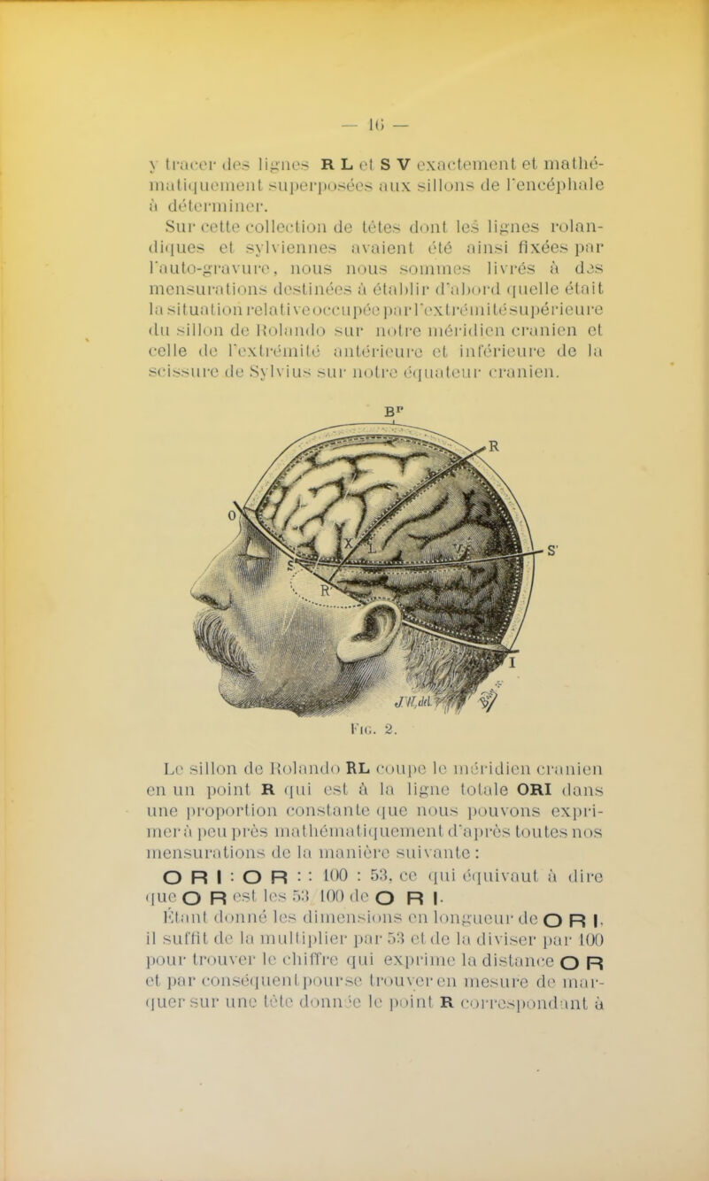 > tracer des lignes R L et S V exactement et mathé- matiquement superposées aux sillons de l'encéphale à déterminer. Su r cette collection de tètes dont les lignes rolan- diques et sylviennes avaient été ainsi fixées par Pauto-gravure, nous nous sommes livrés à djs mensurations destinées à établir d'abord quelle était la situai ii m relativeoccupéeparl'extrémitésupérieure du sillon de Rolando sur notre méridien crânien et celle de l'extrémité antérieure et Inférieure de la scissure de Sylvius sur notre équateur crânien. FlG. 2. Le sillon de Rolando RL coupe le méridien crânien en un point r qui es! à la ligne totale ORI dans une proportion constante que nous pouvons expia- mer à peu près mathématiquement d'après toutes nos mensurations de la manière suivante : O R I O R : l()0 : •r>:>- 1,11 qui équivaut à dire peO Resl les 53 100 de O R I Étanl donné les dimensions en longueur de O R I il suffit de La multiplier par 53 etde la diviser par 100 pour trouver le chiffre qui exprime la distance o R et par conséquent pour se trouveren mesure de mar- quer sur une tète donn je le point R correspondant à