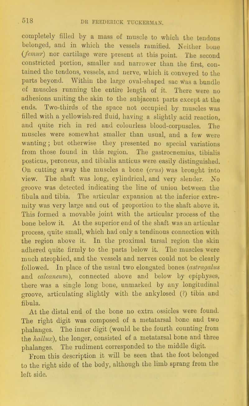 Dlt FREDERICK TUCKERMAN. completely filled by a mass of muscle to which the tendons belonged, and in which the vessels ramified. Neither bone (femur) nor cartilage were present at this point. The second constricted portion, smaller and narrower than the first, con- tained the tendons, vessels, and nerve, which it conveyed to the parts beyond. Within the large oval-shaped sac was a bundle of muscles running the entire length of it. There were no adhesions uniting the skin to the subjacent parts except at the ends. Two-thirds of the space not occupied by muscles was filled with a yellowish-red fluid, having a slightly acid reaction, and quite rich in red and colourless blood-corpuscles. The muscles were somewhat smaller than usual, and a few were wanting; but otherwise they presented no special variations from those found in this region. The gastrocnemius, tibialis posticus, peroneus, and tibialis anticus were easily distinguished. On cutting away the muscles a bone (crus) was brought into view. The shaft was long, cylindrical, and very slender. No groove was detected indicating the line of union between the fibula and tibia. The articular expansion at the inferior extre- mity was very large and out of proportion to the shaft above it. This formed a movable joint with the articular process of the bone below it. At the superior end of the shaft was an articular process, quite small, which had only a tendinous connection with the region above it. In the proximal tarsal region the skin adhered quite firmly to the parts below it. The muscles were much atrophied, and the vessels and nerves could not be clearly followed. In place of the usual two elongated bones (astragalus and calcaneum), connected above and below by epiphyses, there was a single long bone, unmarked by any longitudinal groove, articulating slightly with the ankylosed (?) tibia and fibula. At the distal end of the bone no extra ossicles were found. The right digit was composed of a metatarsal bone and two phalanges. The inner digit (would be the fourth counting from the Jiallux), the longer, consisted of a metatarsal bone and three phalanges. The rudiment corresponded to the middle digit. From this description it will be seeu that the foot belonged to the right side of the body, although the limb sprang from the left side.