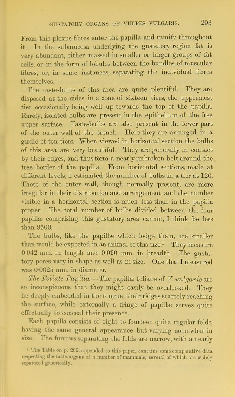 GUSTATORY ORGANS OF VULPES VULGARIS. From this plexus fibres enter the papilla and ramify throughout it. In the submucosa underlying the gustatory region fat is very abundant, either massed in smaller or larger groups of fat cells, or in the form of lobules between the bundles of muscular fibres, or, in some instances, separating the individual fibres themselves. The taste-bulbs of this area are quite plentiful. They are disposed at the sides in a zone of sixteen tiers, the uppermost tier occasionally being well up towards the top of the papilla. Rarely, isolated bulbs are present in the epithelium of the free upper surface. Taste-bulbs are also present in the lower part of the outer wall of the trench. Here they are arranged in a girdle of ten tiers. When viewed in horizontal section the bulbs of this area are very beautiful. They are generally in contact by their edges, and thus form a nearly unbroken belt around the free border of the papilla. From horizontal sections, made at different levels, I estimated the number of bulbs in a tier at 120. Those of the outer wall, though normally present, are more irregular in their distribution and arrangement, and the number visible in a horizontal section is much less than in the papilla proper. The total number of bulbs divided between the four papillae comprising this gustatory area cannot, I think, be less than 9500. The bulbs, like the papillae which lodge them, are smaller than would be expected in an animal of this size.1 They measure 0042 mm. in length and 0020 mm. in breadth. The gusta- tory pores vary in shape as well as in size. One that I measured was 0 0025 mm. in diameter. The Foliate Pa/pillce.—The papillae foliatae of V. vulgaris are so inconspicuous that they might easily be overlooked. They lie deeply embedded in the tongue, their ridges scarcely reaching the surface, while externally a fringe of papillae serves quite effectually to conceal their presence. Each papilla consists of eight to fourteen quite regular folds, having the same general appearance but varying somewhat in me. The furrows separating the folds are narrow, with a nearly 1 The Table on p. 205, appended to this paper, contains some comparative data respecting the taste-organs of n numher of mammals, several of which are widely separated generically.