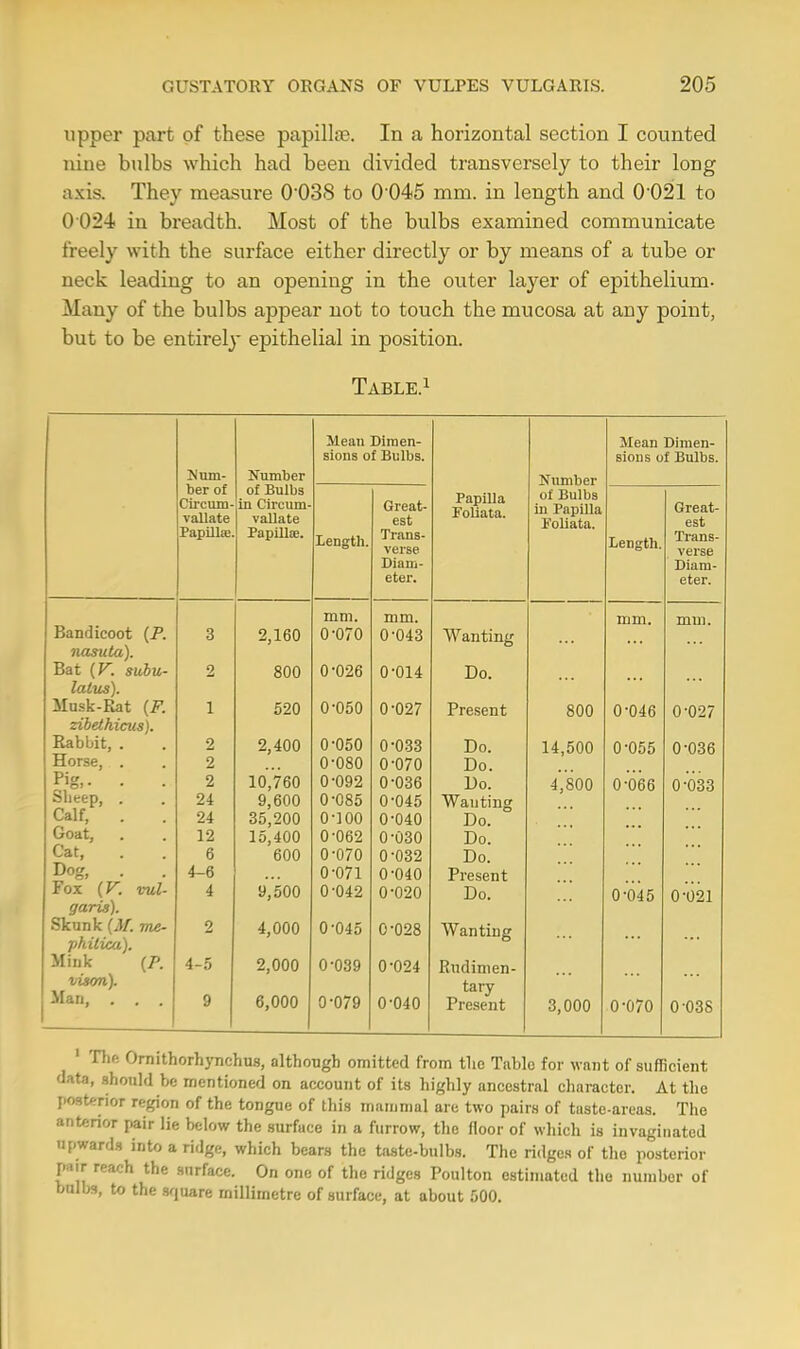 upper part of these papilla?. In a horizontal section I counted nine bulbs which had been divided transversely to their long axis. They measure 0038 to 0045 mm. in length and 0021 to 0 024 in breadth. Most of the bulbs examined communicate freely with the surface either directly or by means of a tube or neck leading to an opening in the outer layer of epithelium. Many of the bulbs appear not to touch the mucosa at any point, but to be entirely epithelial in position. Table.1 Mean Dimen- Mean Dimen- sions of Bulbs. sions of Bulbs. N um- Number Number ber of OiwilTn- 11 L 111U - vallate of Bulbs in Pivcitm 111 V 11 L Hill- vallate Great- est Papilla Foliata. of Bulbs in Papilla Foliata. Great- est Papilla' Papillae. Length. Trans- verse Diam- eter. Length. Trans- verse Diam- eter. Bandicoot (P. mm. mm. mm. mm. 3 2,160 0-070 0-043 Wanting nasiita). Bat {V. subu- 2 800 0-026 0-014 Do. latus). Musk-Rat (F. 1 520 0-050 0-027 Present 800 0-046 0-027 zibethicus). Rabbit, . 2 2,400 0-050 0-033 Do. 14,500 0-055 0-036 Horse, . 2 0-080 0-070 Do. Pi 2 10,760 0-092 0-036 Do. 4,800 0-066 0-033 Sheep, . 24 9,600 0-085 0-045 Wanting Calf, . 24 35,200 o-ioo 0-040 Do. ° Goat, 12 15,400 0-062 0-030 Do. Cat, 6 600 0-070 0-032 Do. Dog, . 4-6 0-071 0-040 Present Fox (V. vul- 4 9,500 0-042 0-020 Do. 0-045 0-021 garis). Skunk (M. me- philica). 2 4,000 0-045 0-028 Wanting Mink (P. 4-5 2,000 0-039 0-024 Rudimen- visori). Man, . . . 9 6,000 0-079 0-040 tary Present 3,000 0-070 0-038 1 The. Ornithorhynchus, although omitted from the Table for want of sufficient data, should be mentioned on account of its highly ancestral character. At the posterior region of the tongue of this mammal are two pairs of tuste-areas. The anterior pair lie below the surfuce in a furrow, the floor of which is invaginated upwards into a ridge, which bears the taste-bulbs. The ridges of the posterior pair reach the surface. On one of the ridges Poulton estimated the number of bulbs, to the square millimetre of surface, at about 500.
