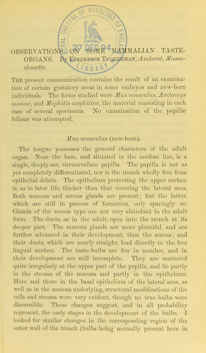 ORGANS. chusetts. The present communication contains the result of an examina- tion of certain gustatory areas in some embryos and new-born individuals. The forms studied were 3fus mtosculus, Arctomys raonax, and Meiyhitis mephitica, the material consisting in each case of several specimens. No examination of the papillae foliatse was attempted. Mus musculus (new-born). The tongue possesses the general characters of the adult organ. Near the base, and situated in the median line, is a single, deeply-set, circumvallate papilla. The papilla is not as yet completely differentiated, nor is the trench wholly free from epithelial debris. The epithelium protecting the upper surface is, as in later life, thicker than that covering the lateral area. Both mucous and serous glands are present; but the latter, which are still in process of formation, only sparingly so. Glands of the serous type are not very abundant in the adult form. The ducts, as in the adult, open into the trench at its deeper part. The mucous glands are more plentiful, and are further advanced in their development, than the serous; and their ducts, which are nearly straight, lead dii-ectly to the free lingual surface. The taste-bulbs are few in number, and in their development are still incomplete. They are scattered quite irregularly at the upper part of the papilla, and lie partly in the stroma of the mucosa and partly in the epithelium. Here and there in the basal epithelium of the lateral area, as well as in the mucosa underlying, structural modifications of the cells and stroma were very evident, though no true bulbs were discernible. These changes suggest, and in all probability represent, the early stages in the development of the bulbs. I looked for similar changes in the corresponding region of the outer wall of the trench (bulbs being normally present here in