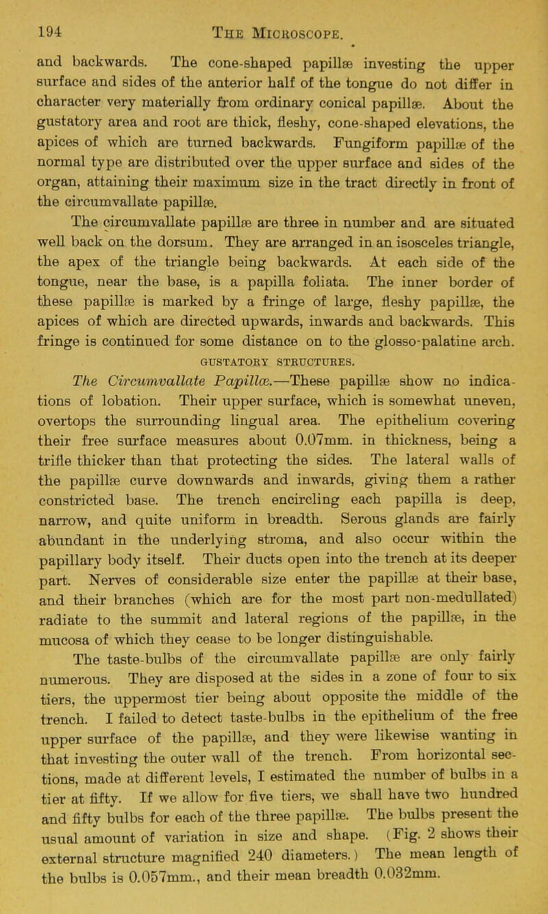 and backwards. The cone-shaped papillae investing the upper surface and sides of the anterior half of the tongue do not differ in character very materially from ordinary conical papillae. About the gustatory area and root are thick, fleshy, cone-shaped elevations, the apices of which are turned backwards. Fungiform papillae of the normal type are distributed over the upper surface and sides of the organ, attaining their maximum size in the tract directly in front of the circumvallate papillae. The circumvallate papillae are three in number and are situated well back on the dorsum. They are arranged in an isosceles triangle, the apex of the triangle being backwards. At each side of the tongue, near the base, is a papilla foliata. The inner border of these papillae is marked by a fringe of large, fleshy papillae, the apices of which are directed upwards, inwards and backwards. This fringe is continued for some distance on to the glosso-palatine arch. GUSTATORY STRUCTURES. The Circumvallate Papillce.—These papillae show no indica- tions of lobation. Their upper surface, which is somewhat uneven, overtops the surrounding lingual area. The epithelium covering their free surface measures about 0.07mm. in thickness, being a trifle thicker than that protecting the sides. The lateral walls of the papillae curve downwards and inwards, giving them a rather constricted base. The trench encircling each papilla is deep, narrow, and quite uniform in breadth. Serous glands are fairly abundant in the underlying stroma, and also occur within the papillary body itself. Their ducts open into the trench at its deeper part. Nerves of considerable size enter the papillae at their base, and their branches (which are for the most part non-medullated radiate to the summit and lateral regions of the papillae, in the mucosa of which they cease to be longer distinguishable. The taste-bulbs of the circumvallate papillae are only fairly numerous. They are disposed at the sides in a zone of four to six tiers, the uppermost tier being about opposite the middle of the trench. I failed to detect taste-bulbs in the epithelium of the free upper surface of the papillae, and they were likewise wanting in that investing the outer wall of the trench. From horizontal sec- tions, made at different levels, I estimated the number of bulbs in a tier at fifty. If we allow for five tiers, we shall have two hundred and fifty bulbs for each of the three papillae. The bulbs present the usual amount of variation in size and shape. (Fig. 2 shows their external structure magnified 240 diameters.) The mean length of the bulbs is 0.057mm., and their mean breadth 0.032mm.