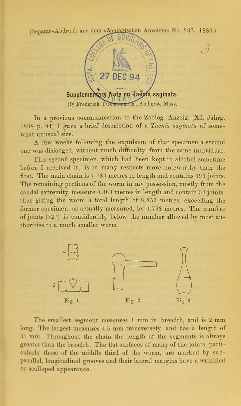 (Separat-Abdruck aus dem ogflfllflfiagghop Anzeiger« No. 287. 1888.) \ ^ Suppleme By Frederick saginata. Amherst, Mass. In a previous communication to the Zoolog. Anzeig. (XI. Jahrg. 1SSS p. 94) I gave a brief description of a Taenia saginata of some- what unusual size. A few weeks following the expulsion of that specimen a second one was dislodged, without much difficulty, from the same individual. This second specimen, which had been kept in alcohol sometime before I received it, is in many respects more noteworthy than the first. The main chain is 7.784 metres in length and contains 693 joints. The remaining portions of the worm in my possession, mostly from the caudal extremity, measure 0.469 metres in length and contain 34 joints, thus giving the worm a total length of 8.253 metres, exceeding the former specimen, as actually measured, by 0.798 metres. The number of joints (727) is considerably below the number allowed by most au- thorities to a much smaller worm. Fig. 1. Fig. 2. Fig. 3. The smallest segment measures 1 mm in breadth, and is 2 mm long. The largest measures 4.5 mm transversely, and has a length of 31 mm. Throughout the chain the length of the segments is always greater than the breadth. The flat surfaces of many of the joints, parti- cularly those of the middle third of the worm, are marked by sub- parallel, longitudinal grooves and their lateral margins have a wrinkled or scalloped appearance.