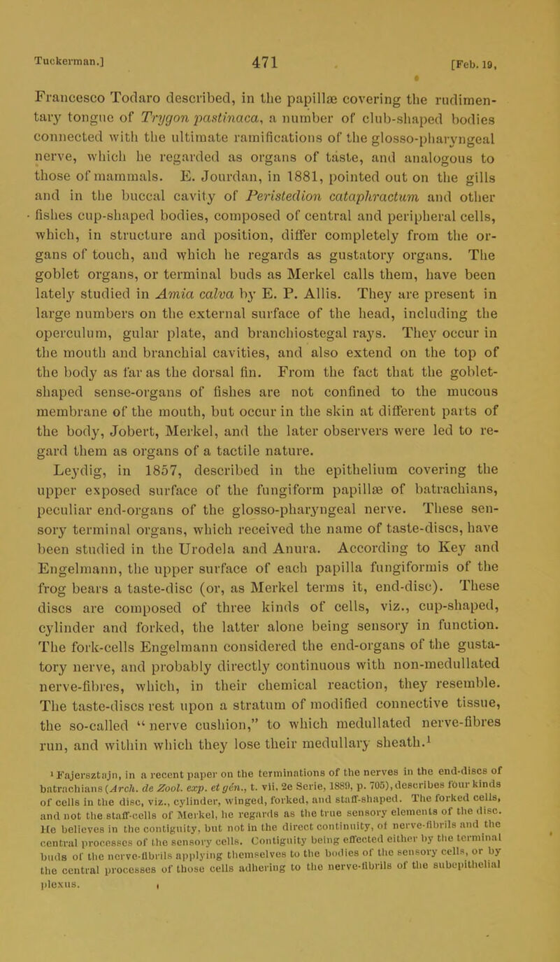 g Francesco Todaro described, in the papillae covering the rudimen- tary tongue of Trygon pastinaca, a number of club-shaped bodies connected with the ultimate ramifications of the glosso-pharvngeal nerve, which he regarded as organs of taste, and analogous to those of mammals. E. Jourdan, in 1881, pointed out on the gills and in the buccal cavity of Peristedion cataphractum and other fishes cup-shaped bodies, composed of central and peripheral cells, which, in structure and position, differ completely from the or- gans of touch, and which he regards as gustatory organs. The goblet organs, or terminal buds as Merkel calls them, have been lately studied in Amia calva by E. P. Allis. They are present in large numbers on the external surface of the head, including the operculum, gular plate, and branchiostegal rays. They occur in the mouth and branchial cavities, and also extend on the top of the body as far as the dorsal fin. From the fact that the goblet- shaped sense-organs of fishes are not confined to the mucous membrane of the mouth, but occur in the skin at different parts of the body, Jobert, Merkel, and the later observers were led to re- gard them as organs of a tactile nature. Leydig, in 1857, described in the epithelium covering the upper exposed surface of the fungiform papillae of batrackians, peculiar end-organs of the glossopharyngeal nerve. These sen- sory terminal organs, which received the name of taste-discs, have been studied in the Urodcla and Anura. According to Key and Engelmann, the upper surface of each papilla fungiformis of the frog bears a taste-disc (or, as Merkel terms it, end-disc). These discs are composed of three kinds of cells, viz., cup-shaped, cylinder and forked, the latter alone being sensory in function. The fork-cells Engelmann considered the end-organs of the gusta- tory nerve, and probably directly continuous with non-medullated nerve-fibres, which, in their chemical reaction, they resemble. The taste-discs rest upon a stratum of modified connective tissue, the so-called nerve cushion, to which medullated nerve-fibres run, and within which they lose their medullary sheath.1 1 Fajersztnjn, in a recent paper on the terminations of the nerves in the end-discs of batrnchiansMrc/t. de Zool. exp. etgcn., t. vli, 2e Serie, 188!), p. 705), describes four kinds of cells in the disc, viz., cylinder, winged, forked, and staff-shaped. The forked cells, and not the staff-cells of Merkel, he regards as the true sensory elements of the disc. He believes in the contiguity, but not in the direct continuity, ot ncrve-flbrils and the central processes of the sensory cells. Contiguity being effected either by the terminal buds of the nerve-fibrils applying themselves to the bodies of the sensory cells, or by the central processes of those cells adhering to the nerve-fibrils of the subepithelial plexus. I