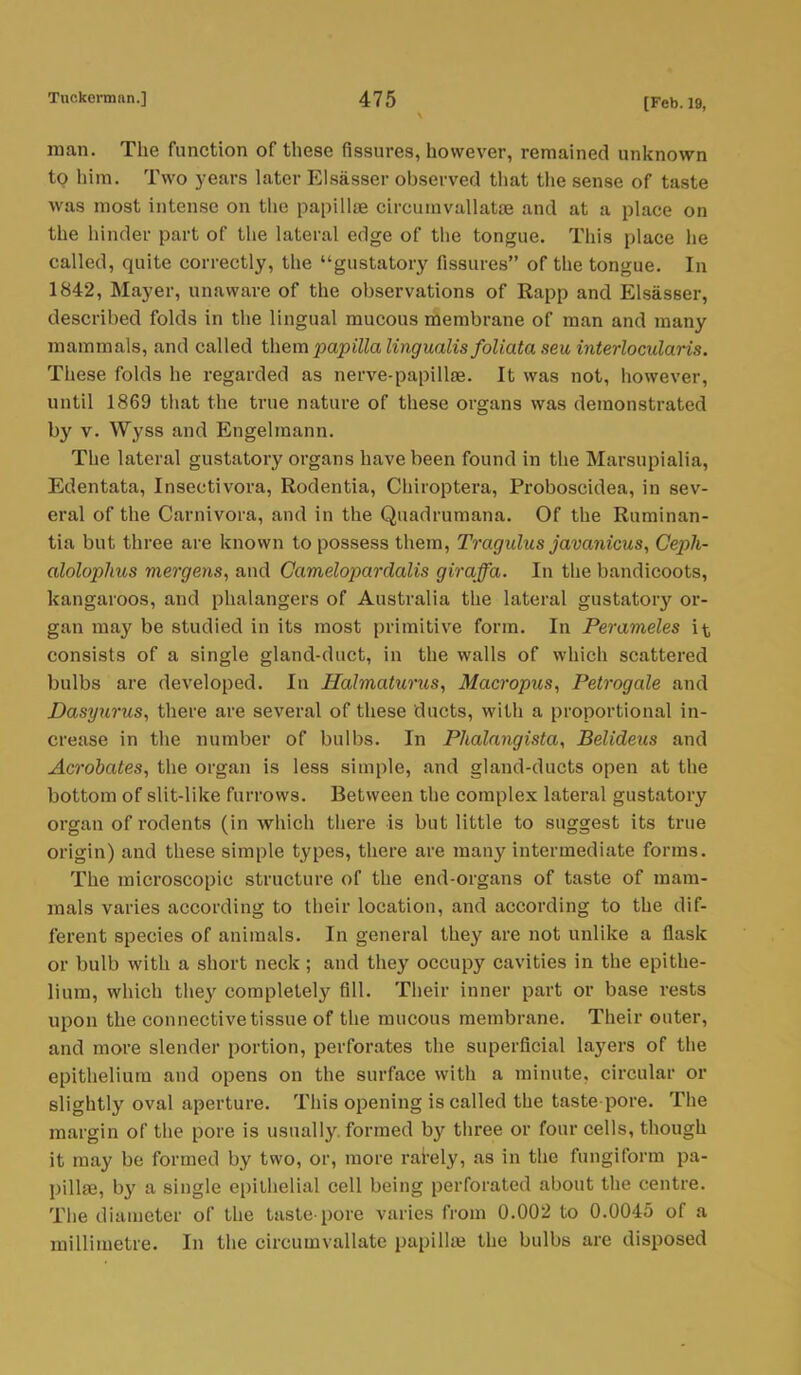 man. The function of these fissures, however, remained unknown to him. Two years later Elsasser observed that the sense of taste was most intense on the papillae circumvallatoe and at a place on the hinder part of the lateral edge of the tongue. This place he called, quite correctly, the gustatory fissures of the tongue. In 1842, Mayer, unaware of the observations of Rapp and Elsasser, described folds in the lingual mucous membrane of man and many mammals, and called them papilla lingualis foliata seu interlocularis. These folds he regarded as nerve-papillae. It was not, however, until 1869 that the true nature of these organs was demonstrated by v. Wyss and Engelraann. The lateral gustatory organs have been found in the Marsupialia, Edentata, Insectivora, Rodentia, Chiroptera, Proboscidea, in sev- eral of the Carnivora, and in the Quadrumana. Of the Ruminan- tia but three are known to possess them, Tragulus javajiicus, Ceph- alolophus mergens, and Camelopardalis giraffa. In the bandicoots, kangaroos, and phalangers of Australia the lateral gustatory or- gan may be studied in its most primitive form. In Perameles it consists of a single gland-duct, in the walls of which scattered bulbs are developed. In Halmaturus, Macropus, Petrogale and Dasyurus, there are several of these ducts, with a proportional in- crease in the number of bulbs. In Phalangista, Belideus and Acrobates, the organ is less simple, and gland-ducts open at the bottom of slit-like furrows. Between the complex lateral gustatory organ of rodents (in which there is but little to suggest its true origin) and these simple types, there are many intermediate forms. The microscopic structure of the end-organs of taste of mam- mals varies according to their location, and according to the dif- ferent species of animals. In general they are not unlike a flask or bulb with a short neck; and they occupy cavities in the epithe- lium, which they completely fill. Their inner part or base rests upon the connective tissue of the mucous membrane. Their outer, and more slender portion, perforates the superficial layers of the epithelium and opens on the surface with a minute, circular or slightly oval aperture. This opening is called the taste pore. The margin of the pore is usually, formed by three or four cells, though it may be formed by two, or, more rarely, as in the fungiform pa- pillae, by a single epithelial cell being perforated about the centre. The diameter of the taste-pore varies from 0.002 to 0.0045 of a millimetre. In the circumvallate papillaj the bulbs are disposed