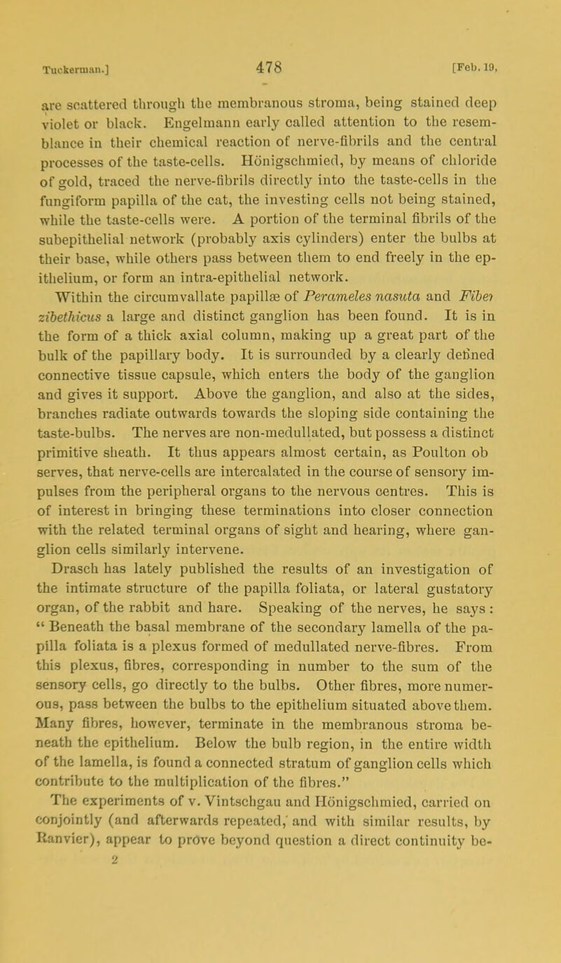 are scattered through the membranous stroma, being stained deep violet or black. Engelmann early called attention to the resem- blance in their chemical reaction of nerve-fibrils and the central processes of the taste-cells. Honigschmied, by means of chloride of gold, traced the nerve-fibrils directly into the taste-cells in the fungiform papilla of the cat, the investing cells not being stained, while the taste-cells were. A portion of the terminal fibrils of the subepithelial network (probably axis cylinders) enter the bulbs at their base, while others pass between them to end freely in the ep- ithelium, or form an intra-epithelial network. Within the circumvallate papillae of Perameles nasuta and Fibet zibethlcus a large and distinct ganglion has been found. It is in the form of a thick axial column, making up a great part of the bulk of the papillary body. It is surrounded by a clearly defined connective tissue capsule, which enters the body of the ganglion and gives it support. Above the ganglion, and also at the sides, branches radiate outwards towards the sloping side containing the taste-bulbs. The nerves are non-medullated, but possess a distinct primitive sheath. It thus appears almost certain, as Poulton ob serves, that nerve-cells are intercalated in the course of sensory im- pulses from the peripheral organs to the nervous centres. This is of interest in bringing these terminations into closer connection with the related terminal organs of sight and hearing, where gan- glion cells similarly intervene. Drasch has lately published the results of an investigation of the intimate structure of the papilla foliata, or lateral gustatory organ, of the rabbit and hare. Speaking of the nerves, he says :  Beneath the basal membrane of the secondary lamella of the pa- pilla foliata is a plexus formed of medullated nerve-fibres. From this plexus, fibres, corresponding in number to the sum of the sensory cells, go directly to the bulbs. Other fibres, more numer- ous, pass between the bulbs to the epithelium situated above them. Many fibres, however, terminate in the membranous stroma be- neath the epithelium. Below the bulb region, in the entire width of the lamella, is found a connected stratum of ganglion cells which contribute to the multiplication of the fibres. The experiments of v. Vintschgau and Honigschmied, carried on conjointly (and afterwards repeated,' and with similar results, by Ilanvier), appear to prove beyond question a direct continuity bo- 2