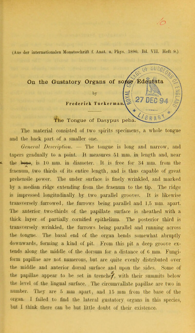 - o (Ana tier iuteimuionalen Monatsschrift f. Anat. u. Pfcys. 1890. Bd. VII. Heft H.) The material consisted of two spirits specimens, a whole tongue and the back part of a smaller one. General Description. — The tongue is long and narrow, and tapers gradually to a point. It measures 51 mm. in length and, near <■ the hom, is 10 mm. in diameter. It is free for 34 mm. from the fraenum, two thirds of its entire length, and is thus capable of great prehensile power. The under surface is finely wrinkled, and marked by a median ridge extending from the fraenum to the tip. The ridge is impressed longitudinally by two parallel grooves. It is likewise transversely furrowed, the furrows being parallel and 1,5 mm. apart. The anterior two-thirds of the papillate surface is sheathed with a thick layer of partially cornified epithelium. The posterior third is transversely wrinkled, the furrows being parallel and running across tlit- tongue. The basal end of the organ bends somewhat abruptly downwards, forming a kind of pit. From this pit a deep groove ex- tends along the middle of the dorsum for a distance of 6 mm. Fungi- foim papillae are not numerous, but are quite evenly distributed over the middle and anterior dorsal surface and upon the sides. Some of the papillae appear to be set in trenche/, with their summits below the level of the lingual surface. The circumvallate papillae are two in number. They are 5 mm apart, and 15 mm from the base of the organ. I failed to find the lateral gustatory organs in this species, but I think there can be but little doubt of their existence. On the Gustatory The Tongue of Dasypus peba. Frederick Tnckerinaii\c£