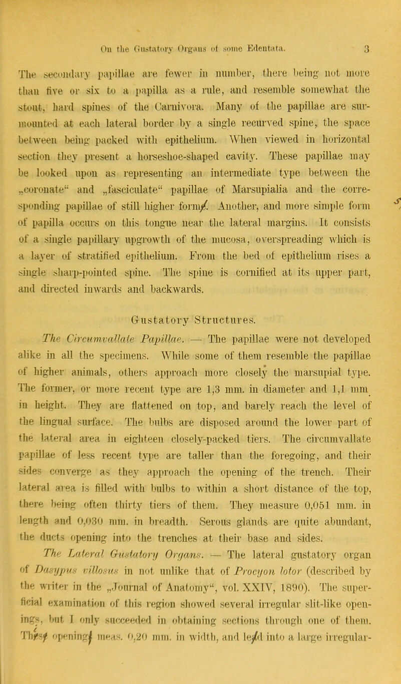 The secondary papillae are fewer in number, (here being nut more than five or six to a papilla as a rule, and resemble somewhat the stout, hard spines of the Carnivora. Many of the papillae are sur- mounted at each lateral border by a single recurved spine, the space between being packed with epithelium. When viewed in horizontal section they present a horseshoe-shaped cavity. These papillae may be looked upon as representing an intermediate type between the „eoronaW and ,,fasciculate papillae of Marsupialia and the corre- sponding papillae of still higher form/. Another, and more simple form of papilla occurs on this tongue near the lateral margins. It consists of a single papillary upgrowth of the mucosa, overspreading which is a layer of stratified epithelium. From the bed of epithelium rises a single .-.harp-pointed spine. The spine is cornified at its upper part, and directed inwards and backwards. Gustatory Structures. The Cireumvallate Papillae* — The papillae were not developed alike in all the specimens. While some of them resemble the papillae of higher animals, others approach more closely the marsupial type. The fanner, or more recent type are 1,3 mm. in diameter and 1,1 mm in height. They are flattened on top, and barely reach the level of the lingual surface. The bulbs are disposed around the lower part of the lateral area in eighteen closel)r-packed tiers. The cireumvallate papillae of less recent type are taller than the foregoing, and their sides converge as they approach the opening of the trench. Their lateral area is filled with bulbs to within a short distance of the top, there being often thirty tiers of them. They measure 0,051 mm. in length and OfiBO mm. in breadth. Serous glands are quite abundant, the ducts opening into the trenches at their base and sides. The Lateral Gustatory Orga/ns. — The lateral gustatory organ of Dasypus wllosus in not unlike that of Procijon lotor (described by th writer in the „.Tournal of Anatomy, vol. XXIV, 1890). The super- ficial examination of this region showed several irregular slit-like open- in::-, bat I only succeed! in obtaining sections through one of them.