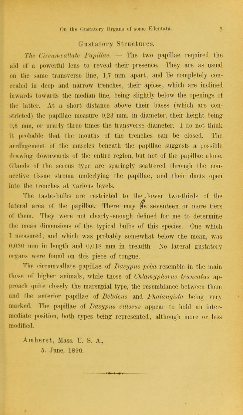 Gustatory Structures. The Cireumvallate Papillae. — The two papillae required the aid of a powerful lens to reveal their presence. They are as usual mi the same transverse line, 1,7 mm. apart, and lie completely con- cealed in deep and narrow trenches, their apices, which are inclined inwards towards the median line, being slightly below the openings of the latter. At a short distance above their bases (which are con- stricted) the papillae measure 0.23 mm. in diameter, then height being 0,6 mm, or nearly three times the transverse diameter. I do not think it probable that the mouths of the trenches can be closed. The arrangement of the muscles beneath the papillae suggests a possible drawing downwards of the entire region, but not of the papillae alone. Glands of the serous type are sparingly scattered through the con- nective tissue stroma underlying the papillae, and their ducts open into the trenches at various levels. The taste-bulbs are restricted to the. lower two-thirds of the lateral area of the papillae. There may Jfte seventeen or more tiers oi them. They were not clearly-enough defined for me to determine the mean dimensious of the typical bulbs of this species. One which I measured, and which was probably somewhat below the mean, was 0,030 mm in length and 0,018 mm in breadth. No lateral gustatory organs were found on this piece of tongue. The cireumvallate papillae of Dasypus peba resemble in the main those of higher animals, while those of Chlamyphorus truncatus ap- proach quite closely the marsupial type, the resemblance between them and the anterior papillae of Belideus and Phalangista being very marked. The papillae of Dasypus villosus appear to hold an inter- mediate position, both types being represented, although more or less modified. Amherst, Mass. U. S. A., 5. June, 1890.