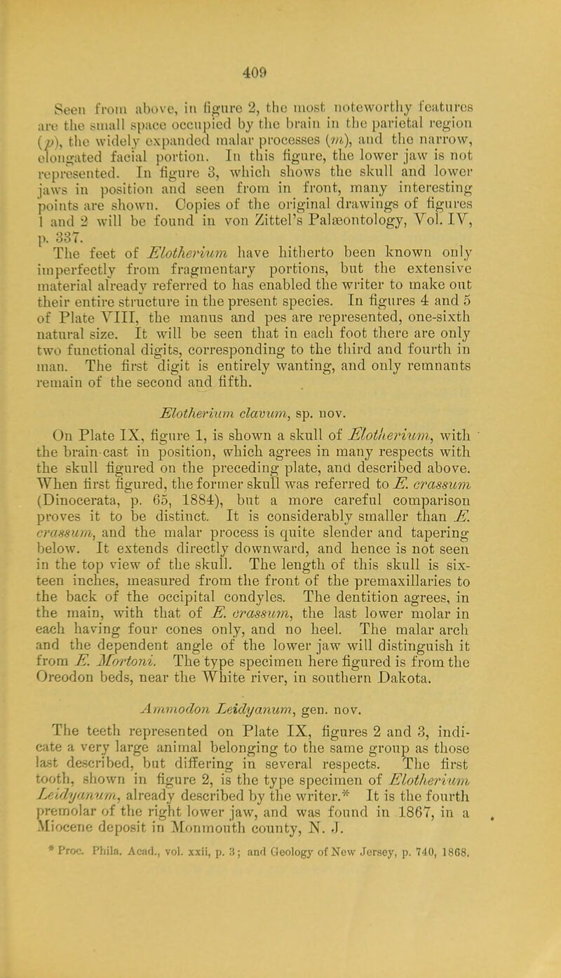 Seen from above, in figure 2, the most noteworthy features are the small space occupied by the brain in the parietal region (p), the widely expanded malar processes (m), and the narrow, elongated facial portion. In this figure, the lower jaw is not represented. In figure 8, which shows the skull and lower jaws in position and seen from in front, many interesting points are shown. Copies of the original drawings of figures 1 and 2 will be found in von Zittel's Palaeontology, Vol. IV, p. 337. The feet of Elotherivm have hitherto been known only imperfectly from fragmentary portions, but the extensive material already referred to has enabled the writer to make out their entire structure in the present species. In figures 4 and 5 of Plate VIII, the manus and pes are represented, one-sixth natural size. It will be seen that in each foot there are only two functional digits, corresponding to the third and fourth in man. The first digit is entirely wanting, and only remnants remain of the second and fifth. Elotherium clavimi, sp. nov. On Plate IX, figure 1, is shown a skull of JEloikerium, with the brain-cast in position, which agrees in many respects with the skull figured on the preceding plate, and described above. When first figured, the former skull was referred to E. crassum (Dinocerata, p. 65, 1884), but a more careful comparison proves it to be distinct. It is considerably smaller than E. orassum, and the malar process is cmite slender and tapering below. It extends directly downward, and hence is not seen in the top view of the skull. The length of this skull is six- teen inches, measured from the front of the premaxillaries to the back of the occipital condyles. The dentition agrees, in the main, with that of E. orassu?n, the last lower molar in each having four cones only, and no heel. The malar arch and the dependent angle of the lower jaw will distinguish it from E. Mbrtoni. The type specimen here figured is from the Oreodon beds, near the White river, in southern Dakota. Auunodon Leidyanum, gen. nov. The teeth represented on Plate IX, figures 2 and 3, indi- cate a very large animal belonging to the same group as those last described, but differing in several respects. The first tooth, .shown in figure 2, is the type specimen of Elotherium Lr 'iflyti.nv.ni., already described by the Writer.* It is the fourth premolar of the right lower jaw, and was found in 1867, in a Miocene deposit in Monmouth county, N. .1. * Proc. Phila. Acad., vol. xxii, p. 3; and Geology of New Jersey, p. 740, 1868.