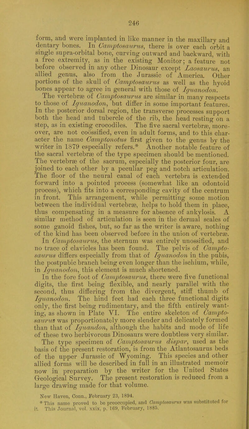 246 form, and were implanted in like manner in the maxillary and dentary bones. In Camptosaurus, there is over each orbit a single supra-orbital bone, curving outward and backward, with a free extremity, as in the existing Monitor; a feature not before observed in any other Dinosaur except Zaosaurus, an allied genus, also from the Jurassic of America. Other portions of the skull of Camptosaurus as well as the hyoid bones appear to agree in general with those of Iguanodori. The vertebras of Camptosaurus are similar in many respects to those of If/uanodon, but differ in some important features. In the posterior dorsal region, the transverse processes support both the head and tubercle of the rib, the head resting on a step, as in existing crocodiles. The five sacral vertebras, more- over, are not codssified, even in adult forms, and to this char- acter the name Camptonottts first given to the genus by the writer in 1879 especially refers.* Another notable feature of the sacral vertebras of the type specimen should be mentioned. The vertebras of the sacrum, especially the posterior four, are joined to each other by a peculiar peg and notch articulation. The floor of the neural canal of each vertebra is extended forward into a pointed process (somewhat like an odontoid process), which fits into a corresponding cavity of the centrum in front. This arrangement, while permitting some motion between the individual vertebras, helps to hold them in place, thus compensating in a measure for absence of ankylosis. A similar method of articulation is seen in the dermal scales of some ganoid fishes, but, so far as the writer is aware, nothing of the kind has been observed before in the union of vertebras. In CamjJtosaurus, the sternum was entirely unossified, and no trace of clavicles has been found. The pelvis of Campto- saurus differs especially from that of Tguanodon in the pubis, the postpubic branch being even longer than the ischium, while, in Iguanodon, this element is much shortened. In the fore foot of Camptosaurus, there were five functional digits, the first being flexible, and nearly parallel with the second, thus differing from the divergent, stiff thumb of Iguanodon. The hind feet had each three functional digits only, the first being rudimentary, and the fifth entirely want- ing, as shown in Plate VI. The entire skeleton of Campto- saurus was proportionately more slender and delicately formed than that of Iguandon, although the habits and mode of life of these two herbivorous Dinosaurs were doubtless very similar. The type specimen of Camptosaurus dispar, used as the basis of the present restoration, is from the Atlantosaurus beds of the upper Jurassic of Wyoming. This species and other allied forms will be described in full in an illustrated memoir now in preparation by the writer for the United States Geological Survey. The present restoration is reduced from a large drawing made for that volume. New Haven, CoDn., February 23, 1894. * This name proved to be preoccupied, and Camptosanrtis was substituted for it. This Journal, vol. xxix, p. 169, February, 1885.