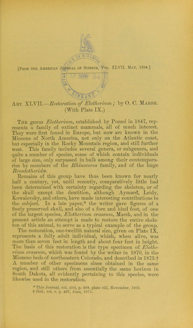 digitised image 3