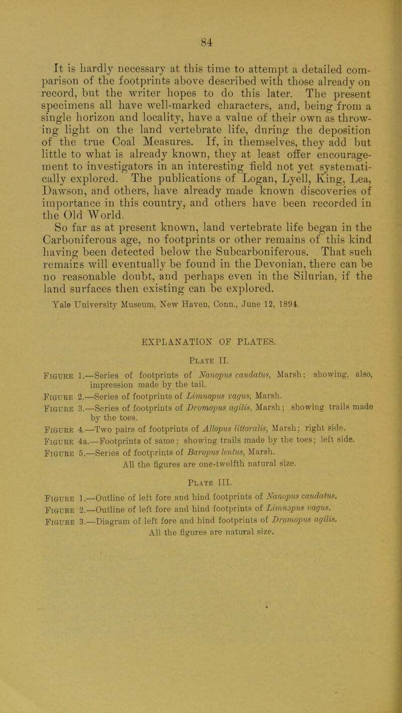 It is hardly necessary at this time to attempt a detailed com- parison of the footprints ahove described with those already on record, but the writer hopes to do this later. The present specimens all have well-marked characters, and, being from a single horizon and locality, have a value of their own as throw- ing light on the land vertebrate life, during the deposition of the true Coal Measures. If, in themselves, they add but little to what is already known, they at least offer encourage- ment to investigators in an interesting field not yet systemati- cally explored. The publications of Logan, Lyell, King, Lea, Dawson, and others, have already made known discoveries of importance in this country, and others have been recorded in the Old World. So far as at present known, land vertebrate life began in the Carboniferous age, no footprints or other remains of this kind having been detected below the Subcarboniferous. That such remains will eventually be found in the Devonian, there can be no reasonable doubt, and perhaps even in the Silurian, if the land surfaces then existing can be explored. Tale University Museum, New Haven, Conn., June 12, 1894. EXPLANATION OF PLATES. Plate II. Figure 1.—Series of footprints of Nanopus caudatus, Marsh; showing, also, impression made by the tail. Figure 2.—Series of footprints of Limnopus vagus, Marsh. Figure 3.—Series of footprints of Dromopus agilis, Marsh; showing trails made by the toes. Figure 4.—Two pairs of footprints of Allopus littoralis, Marsh; right side. Figure 4a.—Footprints of same; showing trails made by the toes; left side. Figure 5.—Series of footprints of Baroptts lenlus, Marsh. All the figures are one-twelfth natural size. Plate III. Figure 1.—Outline of left fore and hind footprints of Kanopus caudatus. Figure 2.—Outline of left fore and hind footprints of Limnipus vagus. Figure 3—Diagram of left fore and hind footprints of Dromopus agilis. All the figures are natural size.