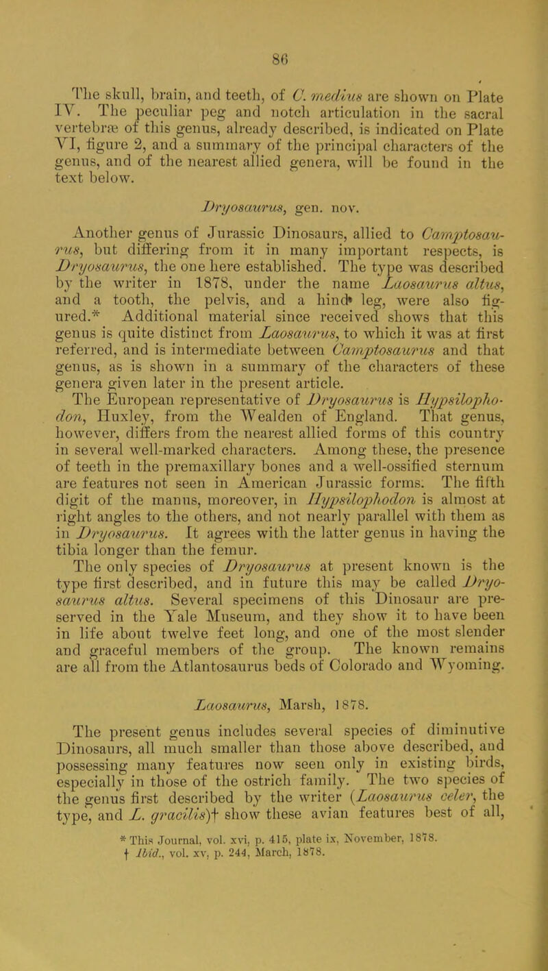 The skull, brain, and teeth, of C. medius are shown on Plate IV. The peculiar peg and notch articulation in the sacral vertebrae of this genus, already described, is indicated on Plate VI, figure 2, and a summary of the principal characters of the genus, and of the nearest allied genera, will be found in the text below. Dryosaurus, gen. now Another genus of Jurassic Dinosaurs, allied to Campto&au- rii8s but differing from it in many important respects, is Dryosaurus, the one here established. The type was described by the writer in 1878, under the name Laosaurus alius, and a tooth, the pelvis, and a hind* leg, were also fig- ured.* Additional material since received shows that this genus is quite distinct from Laosaurus, to which it was at first referred, and is intermediate between Camptosaurus and that genus, as is shown in a summary of the characters of these genera given later in the present article. The European representative of Dryosaurus is Ilypsiloplio- don, Huxley, from the Wealden of England. That genus, however, differs from the nearest allied forms of this country in several well-marked characters. Among these, the presence of teeth in the premaxillary bones and a well-ossified sternum are features not seen in American Jurassic forms. The fifth digit of the manus, moreover, in Hypsilophodon is almost at right angles to the others, and not nearly parallel with them as in Dryosaurus. It agrees with the latter genus in having the tibia longer than the femur. The only species of Dryosaurus at present known is the type first described, and in future this may be called Dryo- saurus alius. Several specimens of this Dinosaur are pre- served in the Yale Museum, and they show it to have been in life about twelve feet long, and one of the most slender and graceful members of the group. The known remains are all from the Atlantosaurus beds of Colorado and Wyoming. Laosaurus, Marsh, 1878. The present genus includes several species of diminutive Dinosaurs, all much smaller than those above described, aud possessing many features now seen only in existing birds, especially in those of the ostrich family. The two species of the genus first described by the writer {Laosaurus celer, the type, and L. gracilis)\ show these avian features best of all, * This Journal, vol. xvi, p. 415, plate ix, November, 1878. f Hid., vol. xv, p. 244, March, 1878.