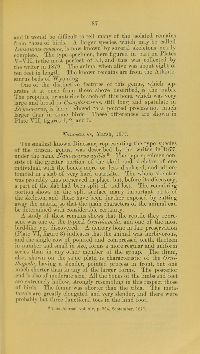 >7 ami it would be difficult to tell many of the isolated remains from those of birds. A larger species, which may be called Laosaurus consors, is now known by several skeletons nearly complete. The type specimen, here figured in part on Plates V-VII, is the most perfect of all, and this was collected by the writer in 1879. The animal when alive was about eight or ten feet in leugth. The known remains are from the Atlanto- saurus beds of Wyoming. One of the distinctive features of this genus, which sep- arates it at once from those above described, is the pubis. The prepubis, or anterior branch of this bone, which was very large and broad in Camptosaurus, still long and spatulate in _Dr>jom>irus, is here reduced to a pointed process not much larger than in some birds. These differences are shown in Plate VII, figures 1, 2, and 3. Nanosaurus, Marsh, 1877. The smallest known Dinosaur, representing the type species of the present genus, was described by the writer in 1877, under the name Nanoscmrus agilis* The type specimen con- sists of the greater portion of the skull and skeleton of one individual, with the bones more or less displaced, and all en- tombed in a slab of very hard quartzite. The whole skeleton was probably thus preserved in place, but, before its discovery, a part of the slab had been split off and lost. The remaining portion shows on the split surface many important parts of the skeleton, and these have been further exposed by cutting away the matrix, so that the main characters of the animal can be determined with considerable certainty. A study of these remains shows that the reptile they repre- sent was one of the typical Ornithojtoda, and one of the most bird-like yet discovered. A dentary bone in fair preservation (Plate YI, figure 3) indicates that the animal was herbivorous, and the single row of pointed and compressed teeth, thirteen in number and small in size, forms a more regular and uniform series than in any other member of the group. The ilium, also, shown on the same plate, is characteristic of the Orni- thqpoda, having a slender, pointed process in front, but one much shorter than in any of the larger forms. The posterior end is also of moderate size. All the bones of the limbs and feet are extremely hollow, strongly resembling in this respect those of birds. The femur was shorter than the tibia. The meta- tarsals are greatly elongated and very slender, and there were probably but three functional toes in the hind foot. *This Journal, vol. xiv, p. 254, September, 1877.