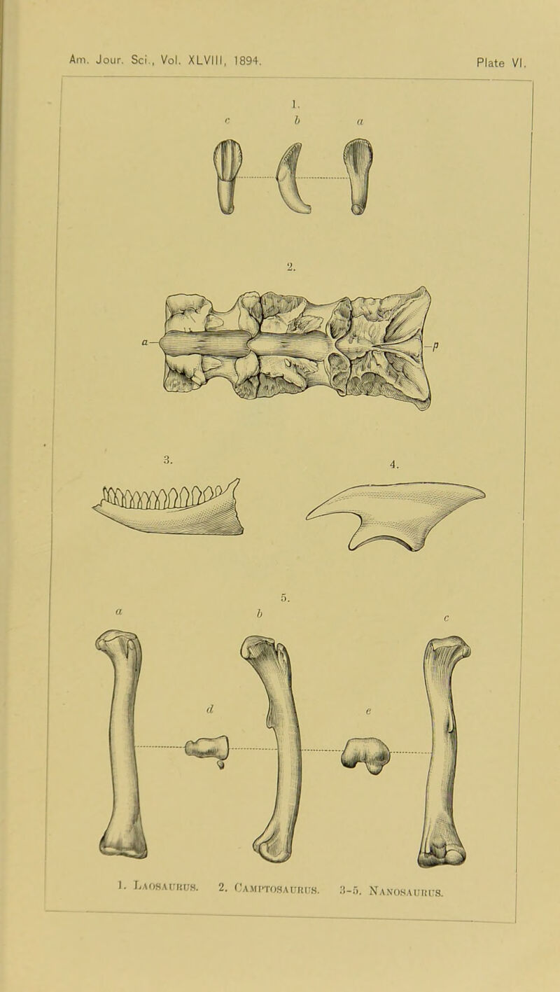 1. Laosatuus. 2. Oamptosaords. 3-5, Nakosauhi-s.
