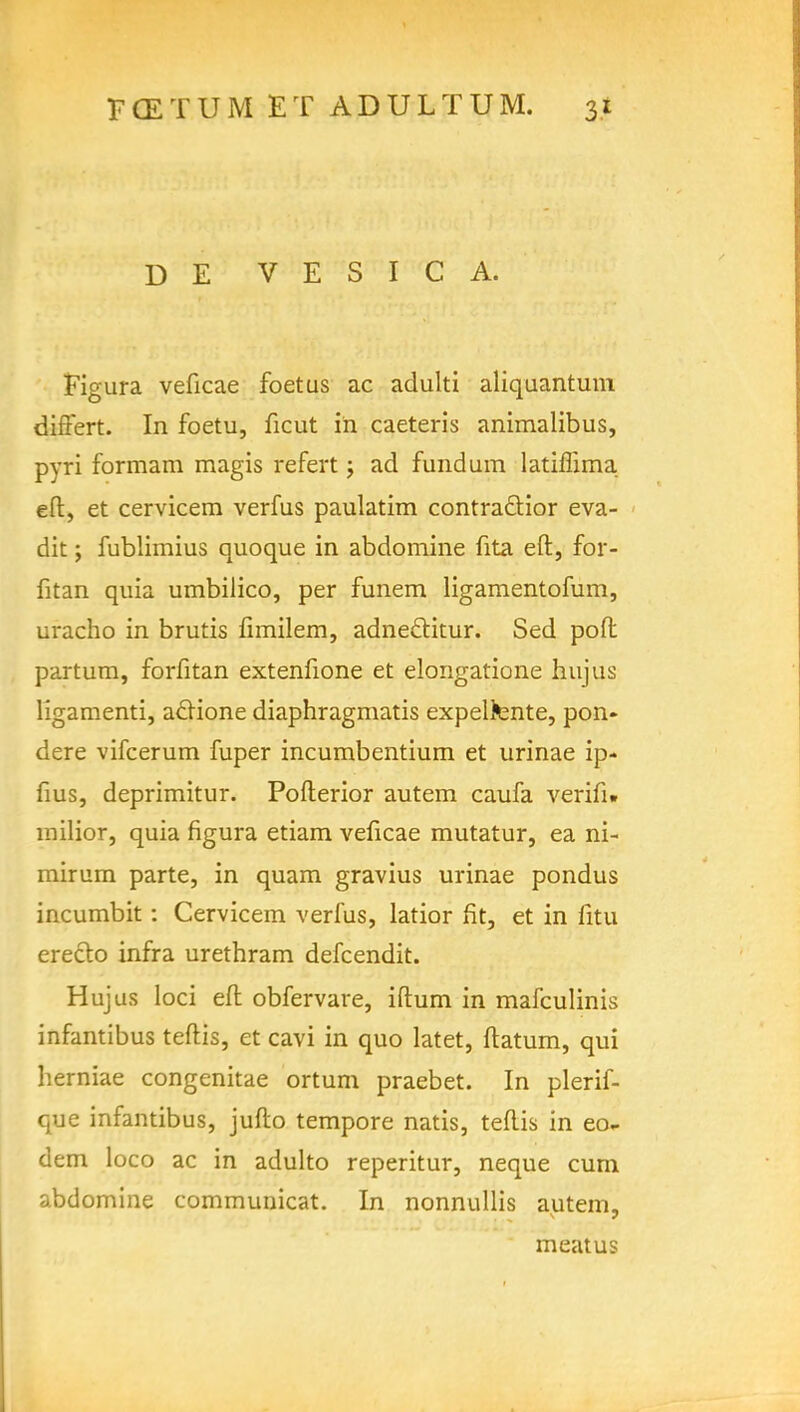 D E VESICA. Figura veficae foetus ac adulti aliquantum diftert. In foetu, ficut in caeteris animalibus, pyri formam magis refert; ad fund urn latiffima eft, et cervicem verfus paulatim contra&ior eva- dit; fublimius quoque in abdomine fita eft, for- fitan quia umbilico, per funem ligamentofum, ui-acho in brutis fnnilem, adneftitur. Sed poft partum, forfitan extenfione et elongatione hujus ligamenti, aclione diaphragmatis expeltente, pon* dere vifcerum fuper incumbentium et urinae ip- fius, deprimitur. Pofterior autem caufa verifi. milior, quia figura etiam veficae mutatur, ea ni- mirum parte, in quam gravius urinae pondus incumbit: Cervicem verfus, latior fit, et in fitu ereclo infra urethram defcendit. Hujus loci eft obfervare, iftum in mafculinis infantibus teftis, et cavi in quo latet, ftatum, qui herniae congenitae ortum praebet. In plerif- que infantibus, jufto tempore natis, teftis in eo- dem loco ac in adulto reperitur, neque cum abdomine communicat. In nonnullis autem, meatus