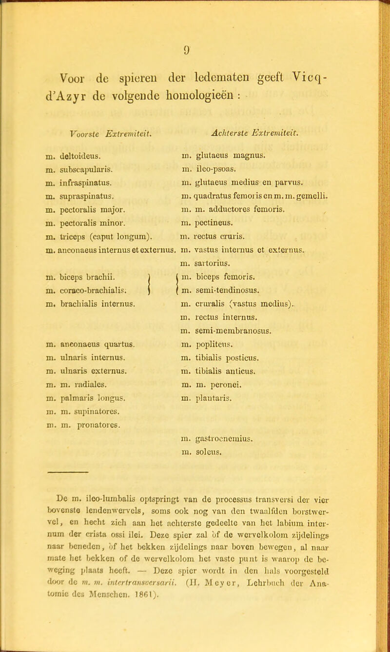 Voor de spieren der ledematen geeft Vicq- d'Azyr de volgende homologieën : Voorste Extremiteit. m. deltoideus. m. subscapularis. m. infraspinatus. m. supraspinatus. m. pectoralis major. m. pectoralis minor. m. triceps (caput longum). m. anconaeus internusetexternus. m. biceps brachii. m. coraco-brachialis. m. brachialis internus. m. anconaeus quartus. m. ulnaris internus. m. ulnaris externus. m. m. radiales. m. palmaris longus. m. m. supinatores. m. m. pronatores. Achterste Extremiteit. m. glutaeus magnus. m. ilco-psoas. m. glutaeus medius en parvus. m. quadratus feraoi is en m. m. gemclli. m. m. adductores femoris. m. pectineus. m. rectus cruris. m. vastus internus et externus. m. sartorius. m. biceps femoris. m. semi-tendinosus. m. cruralis (vastus medius). m. rectus internus. m. semi-membranosus. m. popliteus. m. tibialis posticus. m. tibialis anticus. m. m. peronei. m. plautaris. m. gastrocnemius. m. solcus. De m. ileo-lumbalis optspringt van de processus transversi der vier bovensto lcndenwervcls, soms ook nog van den twaalfden boislwer- vcl, en hecht zich aan het achterste gedeelte van het labium inter- num der crista ossi ilei. Deze spier zal bi de wervelkolom zijdelings naar beneden, öf het bekken zijdelings naar boven bewegen, al naar mate het bekken of de wervelkolom het vaste punt is waarop de be- weging plaats heeft. — Deze spier wordt in den hals voorgesteld door de m. m. intertransuersarii. (II. Mcyer, Lchrbuch der Ana- tomie des Menschcn. 1861).