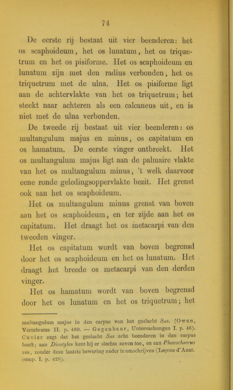 De eerste rij bestaat uit vier beenderen: het os scaphoideum, het os lunatum, het os trique- trum en het os pisiforme. Het os scaphoideum en lunatum zijn met den radius verbonden, het os triquetrum met de ulna. Het os pisiforme ligt aan de achtervlakte van het os triquetrum; het steekt naar achteren als een calcaneus uit, en is niet met de ulna verbonden. De tweede rij bestaat uit vier beenderen: os multangulum majus en minus, os capitatum en os hamatum. De eerste vinger ontbreekt. Het os multangulum majus ligt aan de palmaire vlakte van het os multangulum minus, 't welk daarvoor eenc ronde geledingsoppervlakte bezit. Het grenst ook aan het os scaphoideum. Het os multangulum minus grenst van boven aan het os scaphoideum, en ter zijde aan het os capitatum. Het draagt het os metacarpi van den tweeden vinger. Het os capitatum wordt van boven begrensd door het os scaphoideum en het os lunatum. Het draagt het breede os metacarpi van den derden vinger. Het os hamatum wordt van boven begrensd door het os lunatum en het os triquetrum; het multangulum majus in den carpus van het geslacht Sus. (Owen, Vcrtebrates EL p. 480. — Gcgcnbaur, Untersuchungcn I. p. 46). Cu vier zegt dat het geslacht Sus acht beenderen in den carpus heeft; aan Dicolyles kent hij er slechts zeven toe, en aan Phacochocrus zes, zonder deze laatste bewering nader te omschrijveti (Lccons d'Anat. comp. I. p. 420).