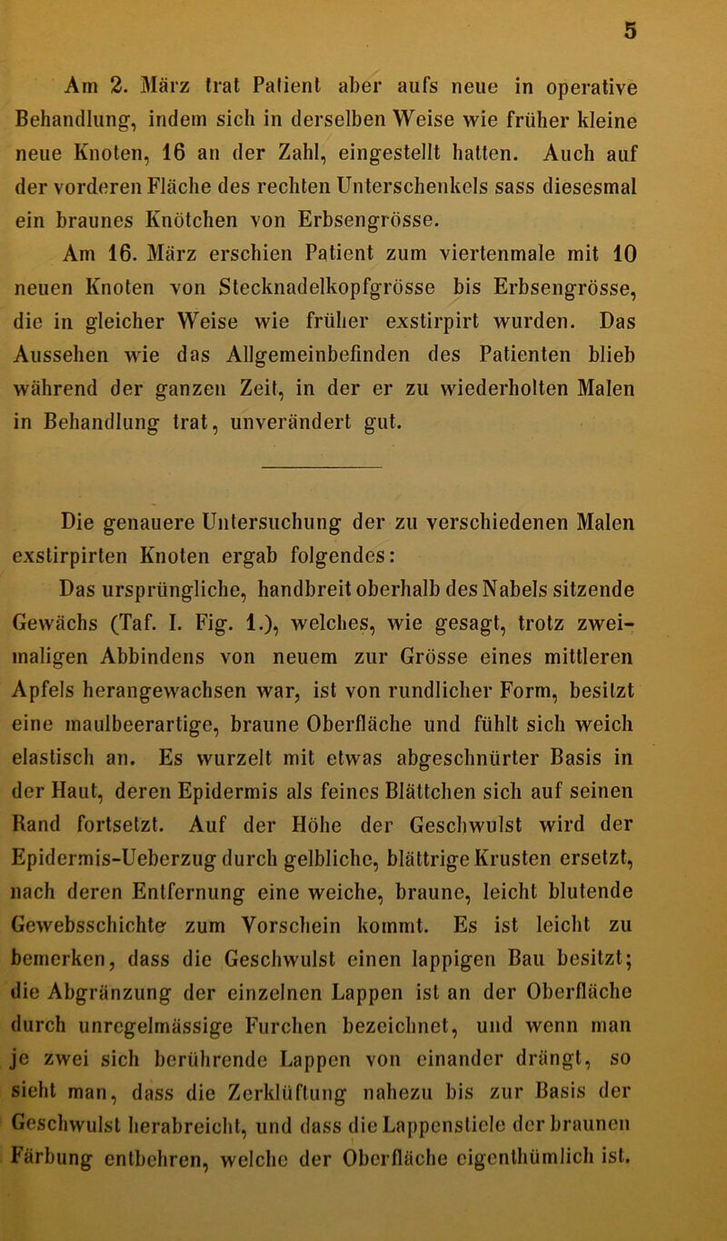 Am 2. März trat Patient aber aufs neue in operative Behandlung-, indem sich in derselben Weise wie früher kleine neue Knoten, 16 an der Zahl, eingestellt hatten. Auch auf der vorderen Fläche des rechten Unterschenkels sass diesesmal ein braunes Knötchen von Erbsengrösse. Am 16. März erschien Patient zum viertenmale mit 10 neuen Knoten von Stecknadelkopfgrösse bis Erbsengrösse, die in gleicher Weise wie früher exstirpirt wurden. Das Aussehen wie das Allgemeinbefinden des Patienten blieb während der ganzen Zeit, in der er zu wiederholten Malen in Behandlung trat, unverändert gut. Die genauere Untersuchung der zu verschiedenen Malen exslirpirten Knoten ergab folgendes: Das ursprüngliche, handbreit oberhalb des Nabels sitzende Gewächs (Taf. I. Fig. 1.), welches, wie gesagt, trotz zwei- maligen Abbindens von neuem zur Grösse eines mittleren Apfels herangewachsen war, ist von rundlicher Form, besitzt eine maulbeerartige, braune Oberfläche und fühlt sich weich elastisch an. Es wurzelt mit etwas abgeschnürter Basis in der Haut, deren Epidermis als feines Blättchen sich auf seinen Rand fortsetzt. Auf der Höhe der Geschwulst wird der Epidermis-Ueberzug durch gelbliche, blättrige Krusten ersetzt, nach deren Entfernung eine weiche, braune, leicht blutende Gewebsschichte zum Vorschein kommt. Es ist leicht zu bemerken, dass die Geschwulst einen lappigen Bau besitzt; die Abgränzung der einzelnen Lappen ist an der Oberfläche durch unregelmässige Furchen bezeichnet, und wenn man je zwei sich berührende Lappen von einander drängt, so sieht man, dass die Zerklüftung nahezu bis zur Basis der Geschwulst herabreicht, und dass die Lappenstiele derbraunen Färbung entbehren, welche der Oberfläche eigenthümlich ist.