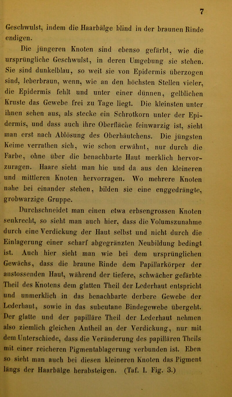 Geschwulst, indem die Haarbälge blind in der braunen Rinde endigen. Die jüngeren Knoten sind ebenso gefärbt, wie die ursprüngliche Geschwulst, in deren Umgebung sic stehen. Sie sind dunkelblau, so weit sie von Epidermis überzogen sind, leberbraun, wenn, wie an den höchsten Stellen vieler, die Epidermis fehlt und unter einer dünnen, gelblichen Kruste das Gewebe frei zu Tage liegt. Die kleinsten unter ihnen sehen aus, als stecke ein Schrotkorn unter der Epi- dermis, und dass auch ihre Oberfläche feinwarzig ist, sieht man erst nach Ablösung des Oberhäutchens. Die jüngsten Keime verrathen sich, wie schon erwähnt, nur durch die Farbe, ohne über die benachbarte Haut merklich hervor- zuragen. Haare sieht man hie und da aus den kleineren und mittleren Knoten hervorragen. Wo mehrere Knoten nahe bei einander stehen, bilden sie eine enggedrängte, grobwarzige Gruppe. Durchschneidet man einen etwa erbsengrossen Knoten senkrecht, so sieht man auch hier, dass die Volumszunahme durch eine Verdickung der Haut selbst und nicht durch die Einlagerung einer scharf abgegränzten Neubildung bedingt ist. Auch hier sieht man wie bei dem ursprünglichen Gewächs, dass die braune Rinde dem Papillarkörper der anstossenden Haut, während der tiefere, schwächer gefärbte Tlieil des Knotens dem glatten Theil der Lederhaut entspricht und unmerklich in das benachbarte derbere Gewebe der Lederhaut, sowie in das subcutane Rindegewebe übergeht. Der glatte und der papilläre Theil der Lederhaut nehmen also ziemlich gleichen Antheil an der Verdickung, nur mit dem Unterschiede, dass die Veränderung des papillären Thcils mit einer reicheren Pigmentablagerung verbunden ist. Eben so sieht man auch bei diesen kleineren Knoten das Pigment längs der Haarbälge herabsteigen. (Taf. I. Fig. 3.)