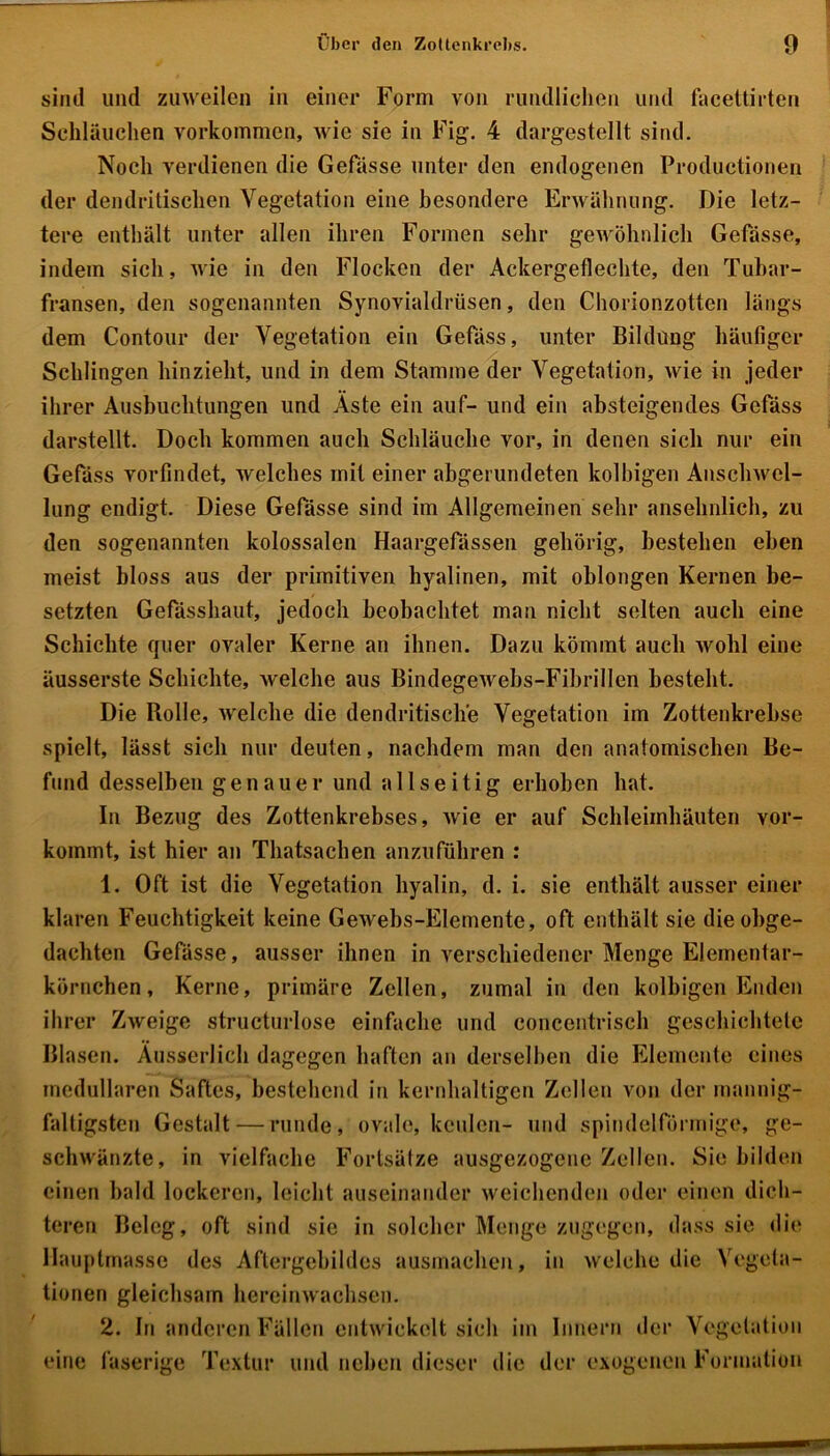 sind und zuweilen in einer Form von rundlichen und facettirten Schläuchen Vorkommen, wie sie in Fig. 4 dargestellt sind. Noch verdienen die Gefässe unter den endogenen Productionen der dendritischen Vegetation eine besondere Erwähnung. Die letz- tere enthält unter allen ihren Formen sehr gewöhnlich Gefässe, indem sich, wie in den Flocken der Ackergeflechte, den Tubar- fransen, den sogenannten Synovialdrüsen, den Chorionzotten längs dem Contour der Vegetation ein Gefäss, unter Bildung häufiger Schlingen hinzieht, und in dem Stamme der Vegetation, wie in jeder ihrer Ausbuchtungen und Aste ein auf- und ein absteigendes Gefäss darstellt. Doch kommen auch Schläuche vor, in denen sich nur ein Gefäss vorfindet, welches mit einer abgerundeten kolbigen Anschwel- lung endigt. Diese Gefässe sind im Allgemeinen sehr ansehnlich, zu den sogenannten kolossalen Haargefässen gehörig, bestehen eben meist bloss aus der primitiven hyalinen, mit oblongen Kernen be- setzten Gefässhaut, jedoch beobachtet man nicht selten auch eine Schichte quer ovaler Kerne an ihnen. Dazu kömmt auch wohl eine äusserste Schichte, welche aus Bindegewebs-Fibrillen besteht. Die Rolle, welche die dendritische Vegetation im Zottenkrebse spielt, lässt sich nur deuten, nachdem man den anatomischen Be- fund desselben genauer und allseitig erhoben hat. In Bezug des Zottenkrebses, wie er auf Schleimhäuten vor- kommt, ist hier an Thatsachen anzuführen : 1. Oft ist die Vegetation hyalin, d. i. sie enthält ausser einer klaren Feuchtigkeit keine Gewebs-Elemente, oft enthält sie die obge- dachten Gefässe, ausser ihnen in verschiedener Menge Elementar- körnchen, Kerne, primäre Zellen, zumal in den kolbigen Enden ihrer Zweige structurlose einfache und concentrisch geschichtete Blasen. Ausserlich dagegen haften an derselben die Elemente eines medullären Saftes, bestehend in kernhaltigen Zellen von der mannig- faltigsten Gestalt — runde, ovale, kculcn- und spindelförmige, ge- schwänzte, in vielfache Fortsätze ausgezogene Zellen. Sie bilden einen bald lockeren, leicht auseinander weichenden oder einen dich- teren Beleg, oft sind sie in solcher Menge zugegen, dass sie die Hauptmasse des Aftergebildes ausmachen, in welche die Vegeta- tionen gleichsam hereinwachsen. 2. In anderen Fällen entwickelt sich im Innern der Vegetation eine faserige Textur und neben dieser die der exogenen Formation