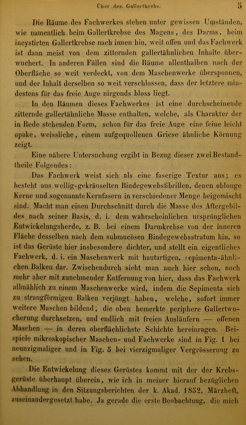 Die Räume des Fachwerkes stehen unter gewissen Umständen, wie namentlich heim Gallertkrebse des Magens, des Darms, beim incystirten Gallertkrebse nach innen hin, weit offen und das Fachwerk ist dann meist von dem zitternden gallertähnlichen Inhalte über- wuchert. In anderen Fällen sind die Räume allenthalben nach der Oberfläche so weit verdeckt, von dem Maschenwerke iibersponnen, und der Inhalt derselben so weit verschlossen, dass der letztere min- destens für das freie Auge nirgends bloss liegt. In den Räumen dieses Fachwerkes ist eine durchscheinende zitternde gallertähnliche Masse enthalten, welche, als Charakter der in Rede stehenden Form, schon für das freie Auge eine feine leicht opake, weissliche, einem aufgequollenen Griese ähnliche Körnung zeigt. Eine nähere Untersuchung ergibt in Bezug dieser zwei Bestand- teile Folgendes: Das Fachwerk weist sich als eine faserige Textur aus; es besteht aus wellig-gekräuselten Bindegewehsfibrillen, denen oblonge Kerne und sogenannte Kernfasern in verschiedener Menge beigemischt sind. Macht man einen Durchschnitt durch die Masse des Aftergebil- des nach seiner Basis, d. i. dem wahrscheinlichen ursprünglichen Entwickelungsherde, z. B. bei einem Darmkrebse von der inneren Fläche desselben nach dem suhmucösen Bindegewebsstratum bin, so ist das Gerüste hier insbesondere dichter, und stellt ein eigentliches Fachwerk, d. i. ein Maschenwerk mit hautartigen, 5epimenta-ähnli- chen Balken dar. Zwischendurch sieht man auch hier schon, noch mehr aber mit zunehmender Entfernung von hier, dass das Fachwerk allmählich zu einem Maschenwerke wird, indem die Sepimenta sich zu strangförmigen Balken verjüngt haben, welche, sofort immer weitere Maschen bildend, die oben bemerkte periphere Gallertwu- cherung durchsetzen, und endlich mit freien Ausläufern — offenen Maschen — in deren oberflächlichste Schichte hereinragen. Bei- spiele mikroskopischer Maschen- und Fachwerke sind in Fig. 1 bei neunzigmaliger und in Fig. 5 bei vierzigmaliger Vergrösserung zu sehen. Die Entwickelung dieses Gerüstes kommt mit der der Krebs- gerüste überhaupt überein, wie ich in meiner hierauf bezüglichen Abhandlung in den Sitzungsberichten der k. Akad. 1852, Märzheft, auseinandergesetzt habe. Ja gerade die erste Beobachtung, die mich