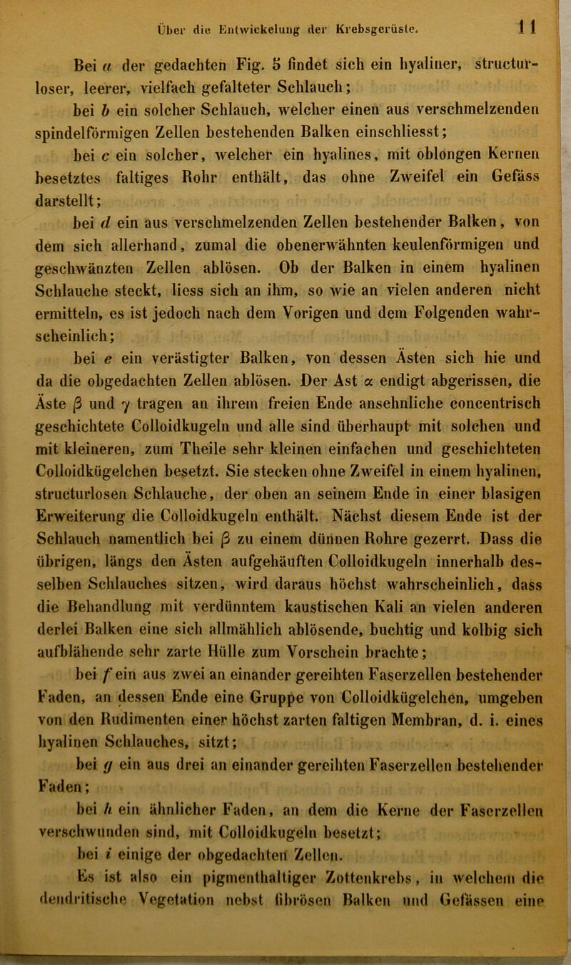 Bei u, der gedachten Fig. S findet sich ein hyaliner, structur- loser, leerer, vielfach gefalteter Schlauch; hei b ein solcher Schlauch, welcher einen aus verschmelzenden spindelförmigen Zellen bestehenden Balken einschliesst; bei c ein solcher, welcher ein hyalines, mit oblongen Kernen besetztes faltiges Rohr enthält, das ohne Zweifel ein Gefäss darstellt; bei d ein aus verschmelzenden Zellen bestehender Balken, von dem sich allerhand, zumal die obenerwähnten keulenförmigen und geschwänzten Zellen ablösen. Ob der Balken in einem hyalinen Schlauche steckt, liess sich an ihm, so wie an vielen anderen nicht ermitteln, es ist jedoch nach dem Vorigen und dem Folgenden wahr- scheinlich; bei e ein verästigter Balken, von dessen Ästen sich hie und da die obgedachten Zellen ablösen. Der Ast a endigt abgerissen, die Äste ß und 7 tragen an ihrem freien Ende ansehnliche concentrisch geschichtete Colloidkugeln und alle sind überhaupt mit solchen und mit kleineren, zum Theile sehr kleinen einfachen und geschichteten Colloidkügelchen besetzt. Sie stecken ohne Zweifel in einem hyalinen, structurlosen Schlauche, der oben an seinem Ende in einer blasigen Erweiterung die Colloidkugeln enthält. Nächst diesem Ende ist der Schlauch namentlich hei ß zu einem dünnen Bohre gezerrt. Dass die übrigen, längs den Ästen aufgehäuften Colloidkugeln innerhalb des- selben Schlauches sitzen, wird daraus höchst wahrscheinlich, dass die Behandlung mit verdünntem kaustischen Kali an vielen anderen derlei Balken eine sich allmählich ablösende, buchtig und kolbig sich aufblähende sehr zarte Hülle zum Vorschein brachte; hei /'ein aus zwei an einander gereihten Faserzellen bestehender Faden, an dessen Ende eine Gruppe von Colloidkügelchen, umgeben von den Budimenten einer höchst zarten faltigen Membran, d. i. eines hyalinen Schlauches, sitzt; bei (j ein aus drei an einander gereihten Faserzellen bestehender Faden; bei It ein ähnlicher Faden, an dem die Kerne der Faserzellen verschwunden sind, mit Colloidkugeln besetzt; bei i einige der obgedachten Zellen. Es ist also ein pigmenthaltiger Zottenkrebs, in welchem die dendritische Vegetation nebst fibrösen Balken und Gelassen eine