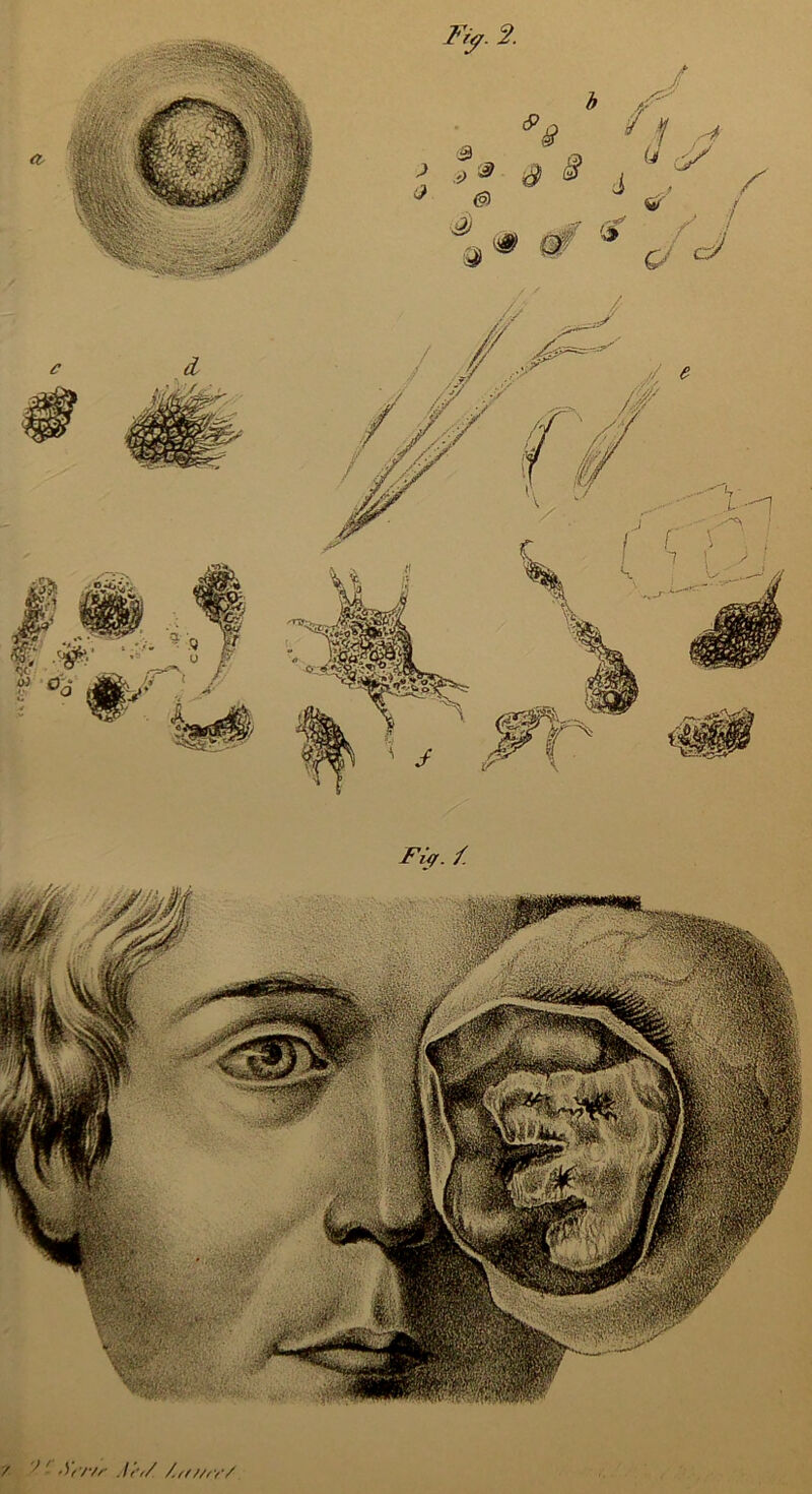 '/ ’ '■ 'Yt’r/r .Ir,/ /,///,;■/