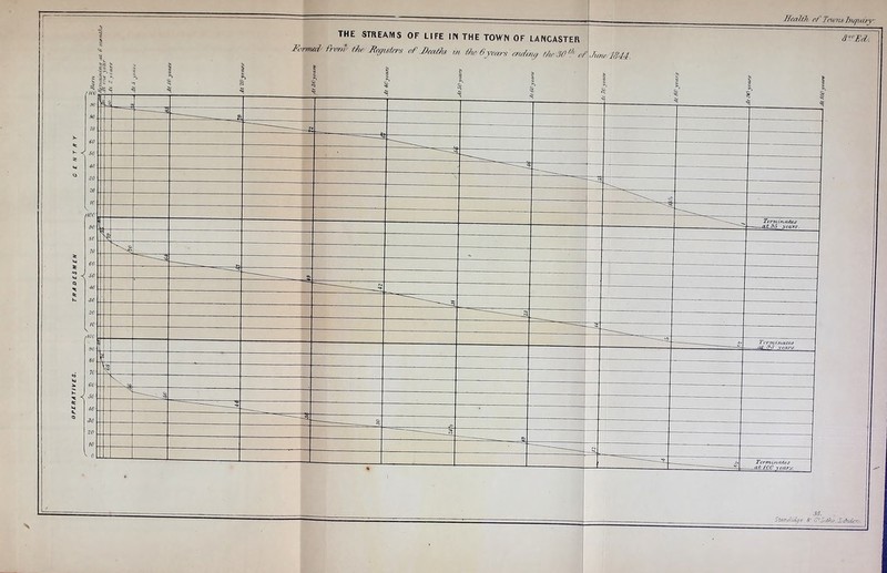 OPERATIVES. TRADESMEN 38.